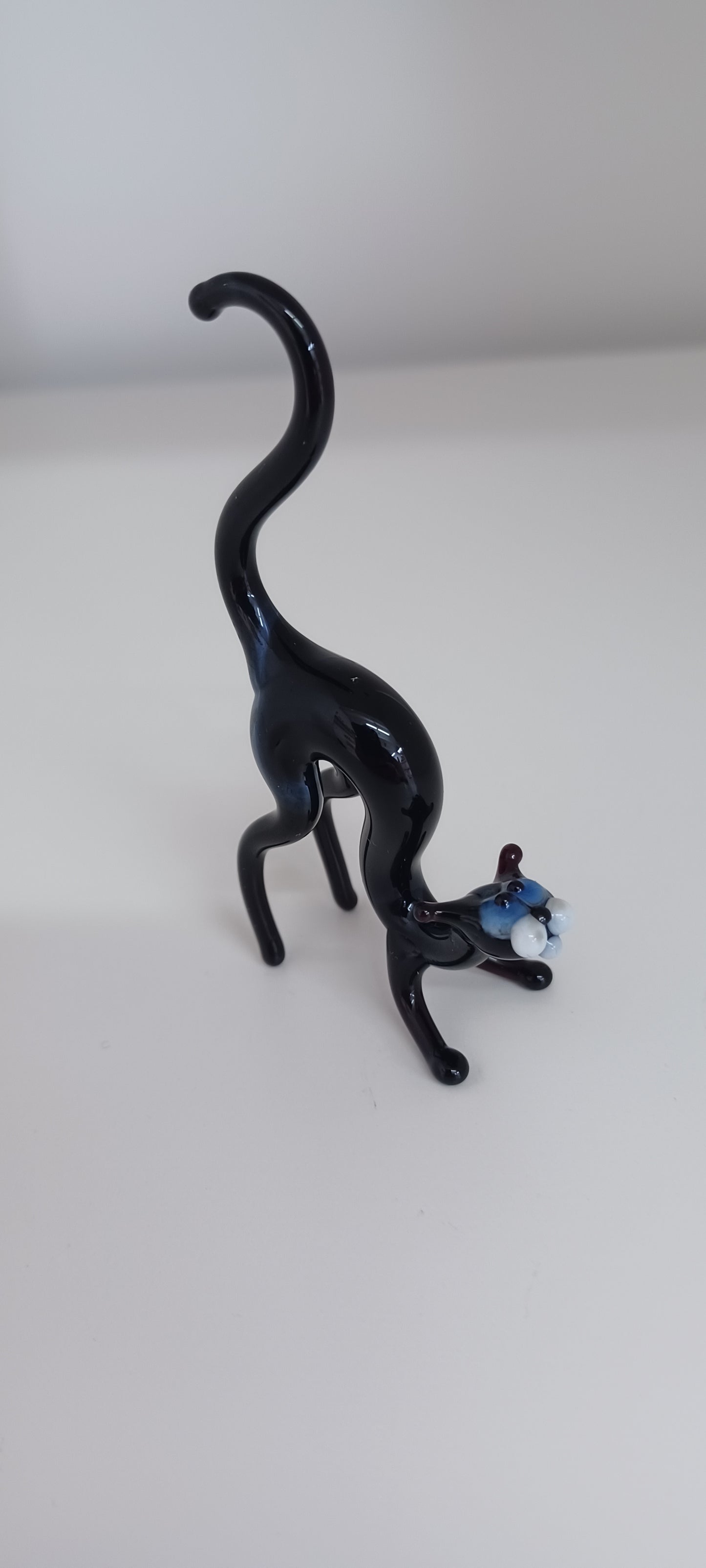 Glass Cat