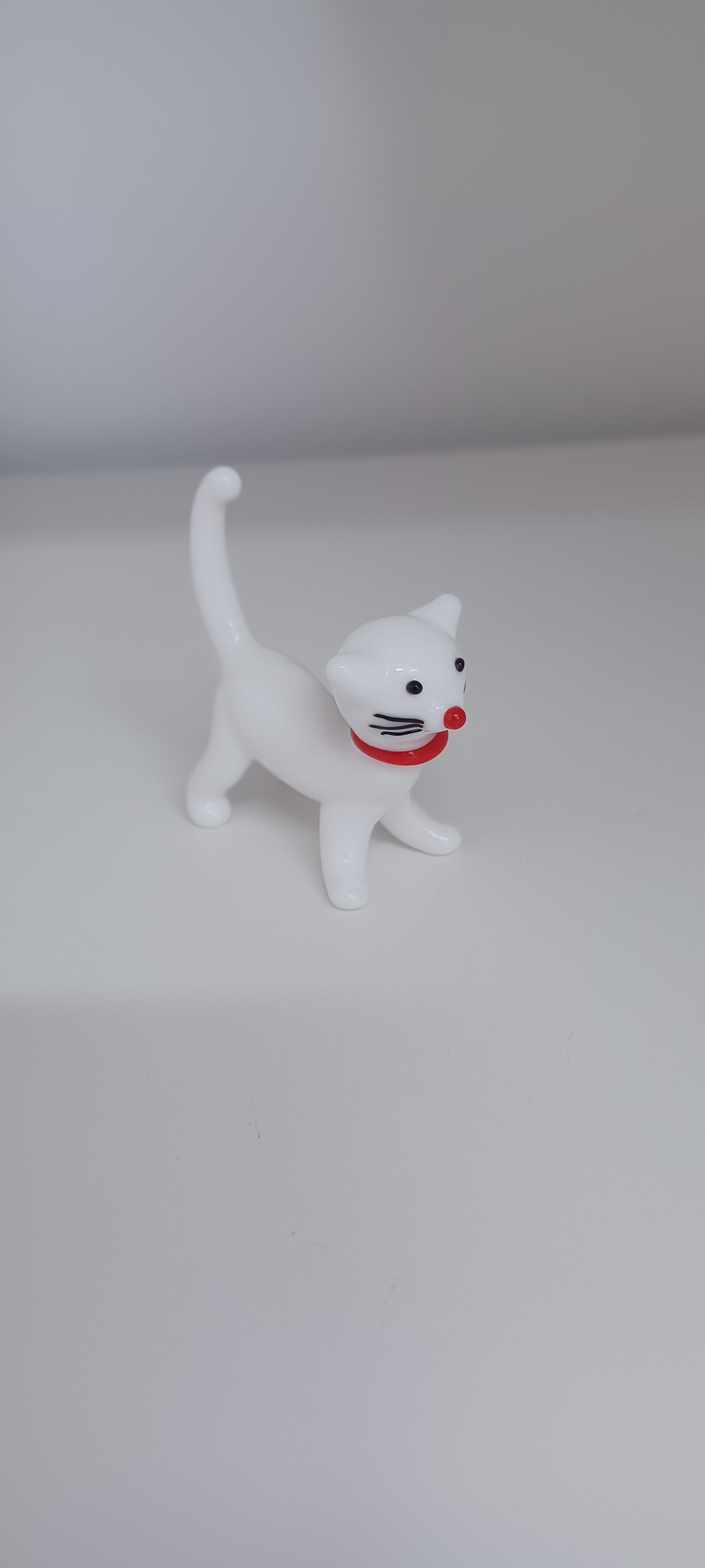 Glass Cat