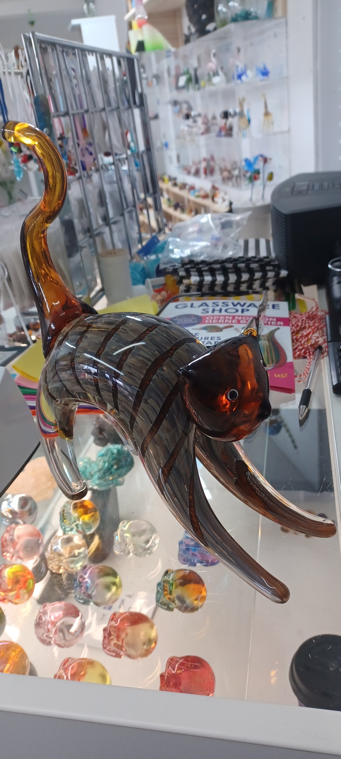 Glass Cat