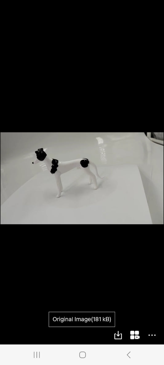 Glass Greyhound