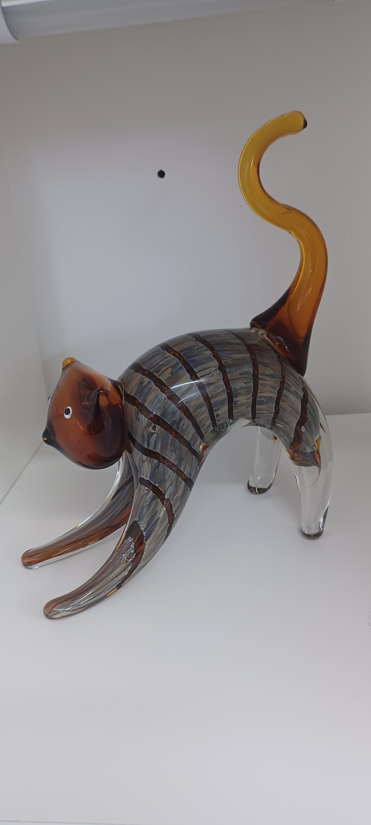Glass Cat