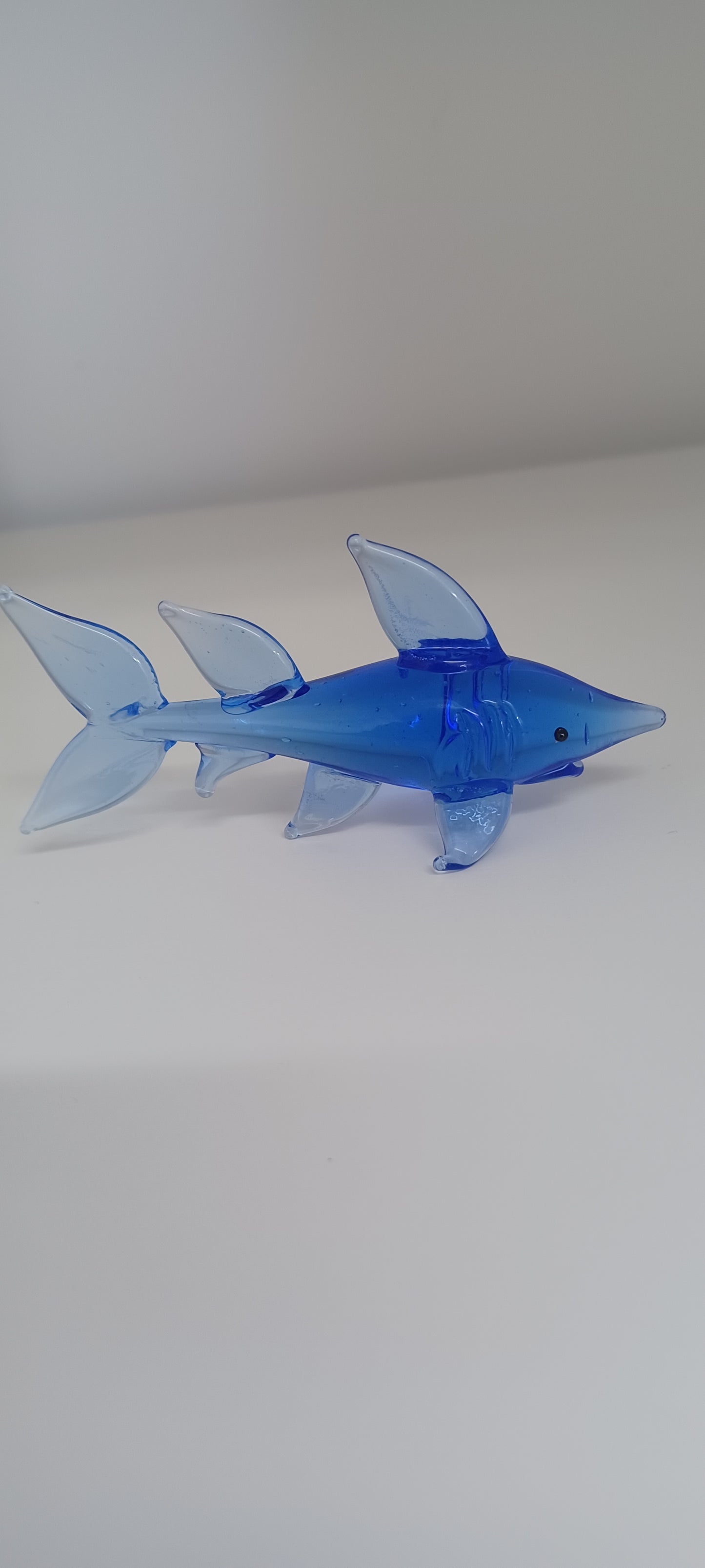 Glass Shark