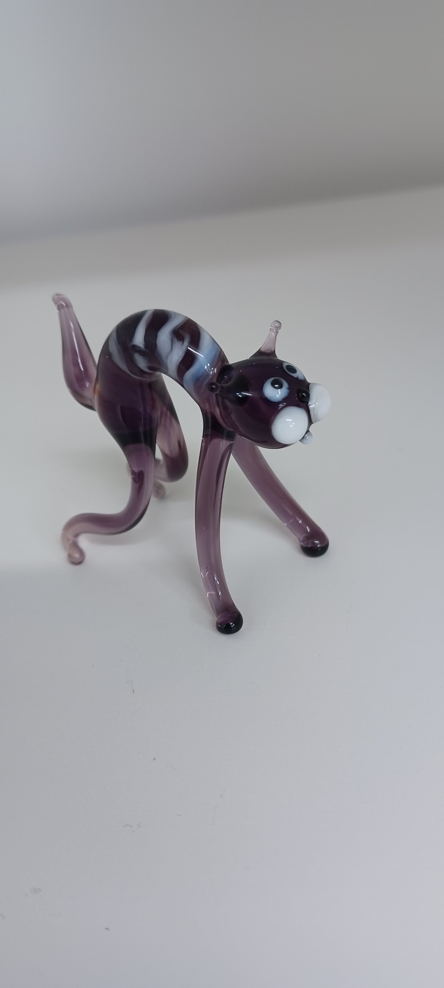 Glass Cat
