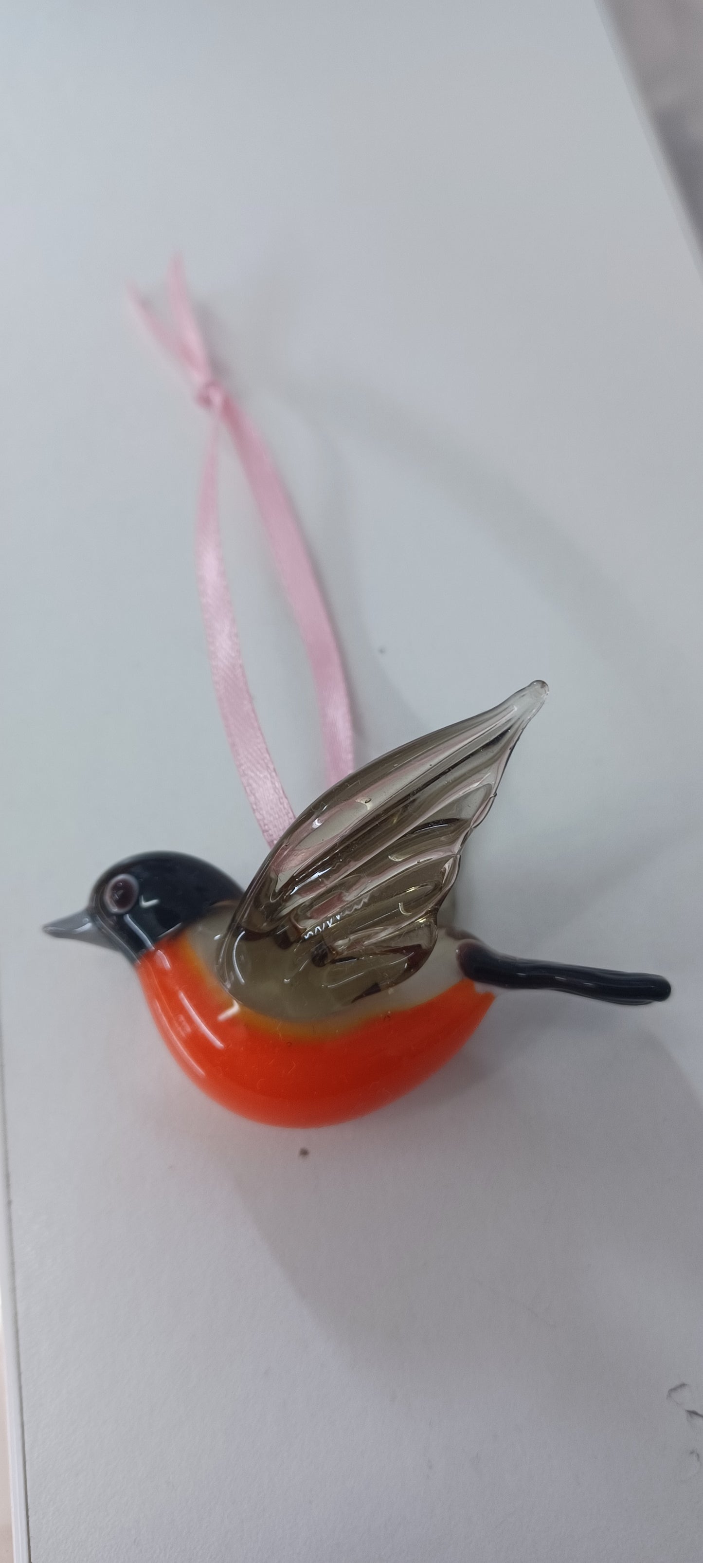 Glass Robin