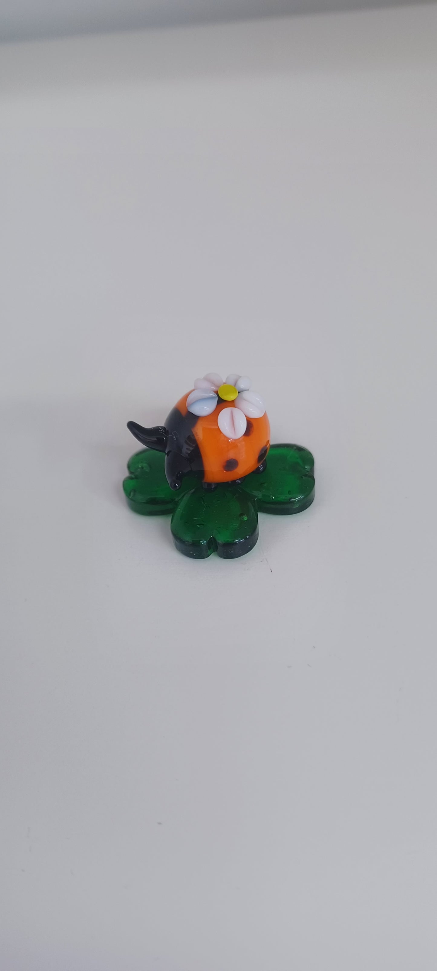 Glass Ladybird