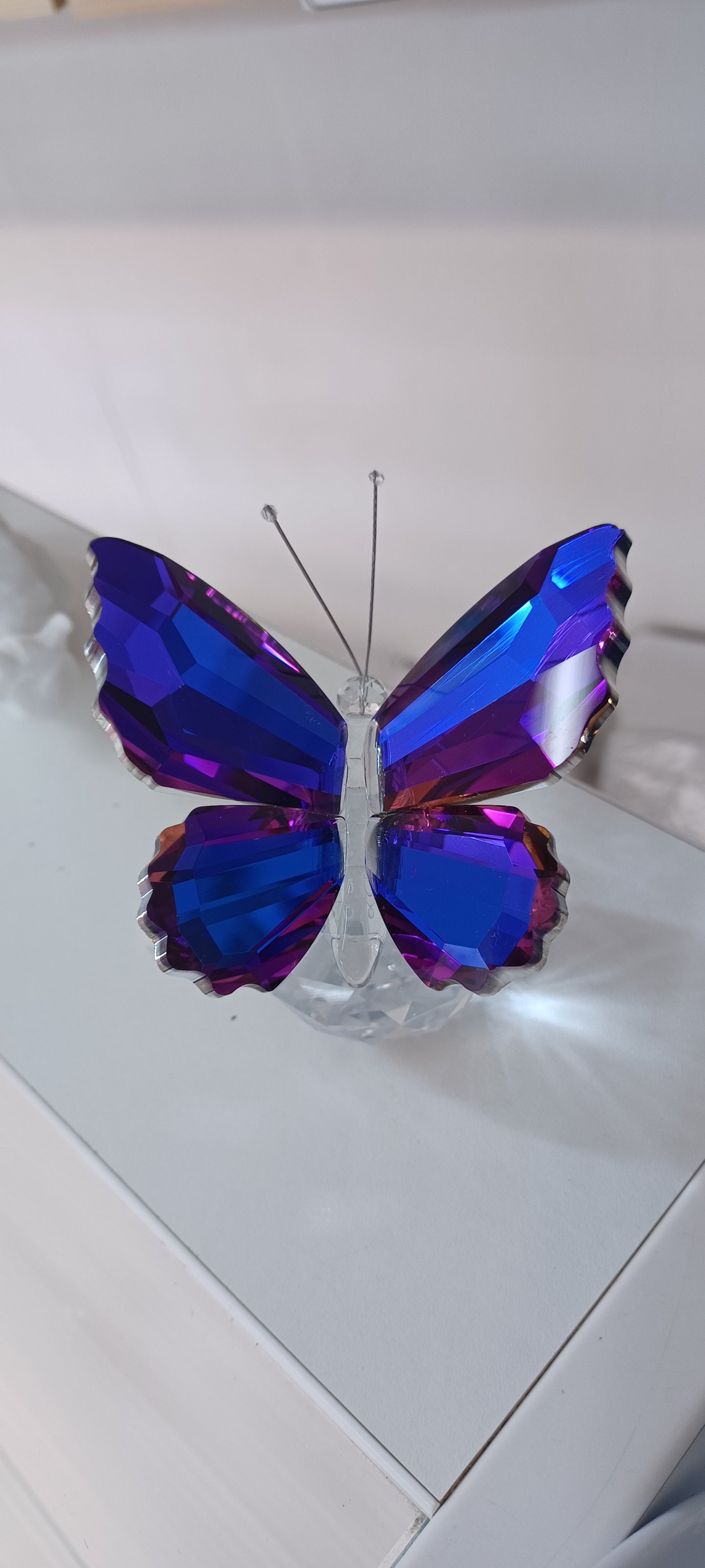 Glass Butterfly