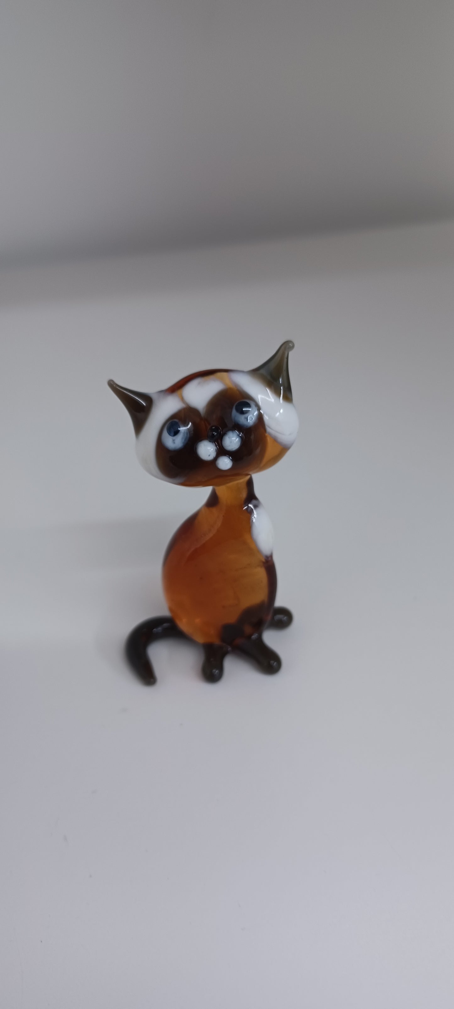 Glass Cat