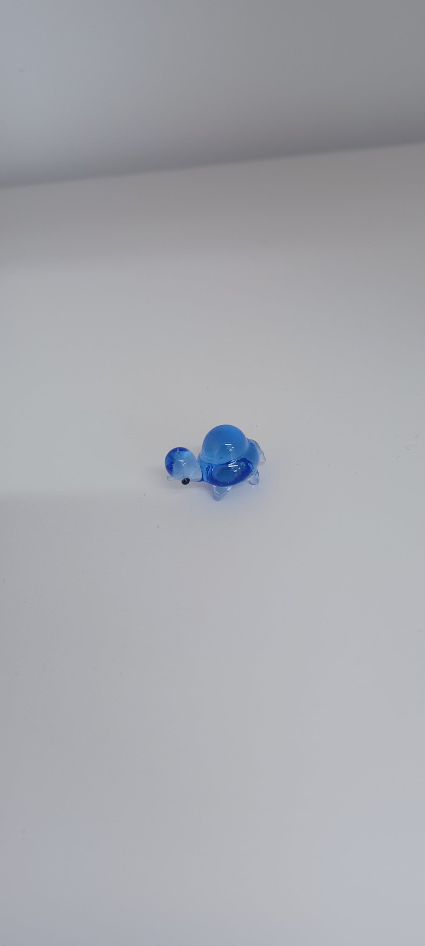 Glass Turtle