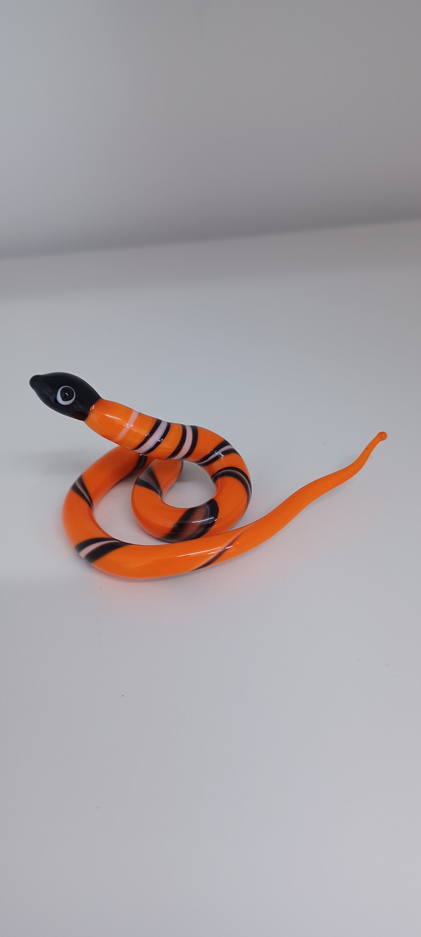 Glass Snake