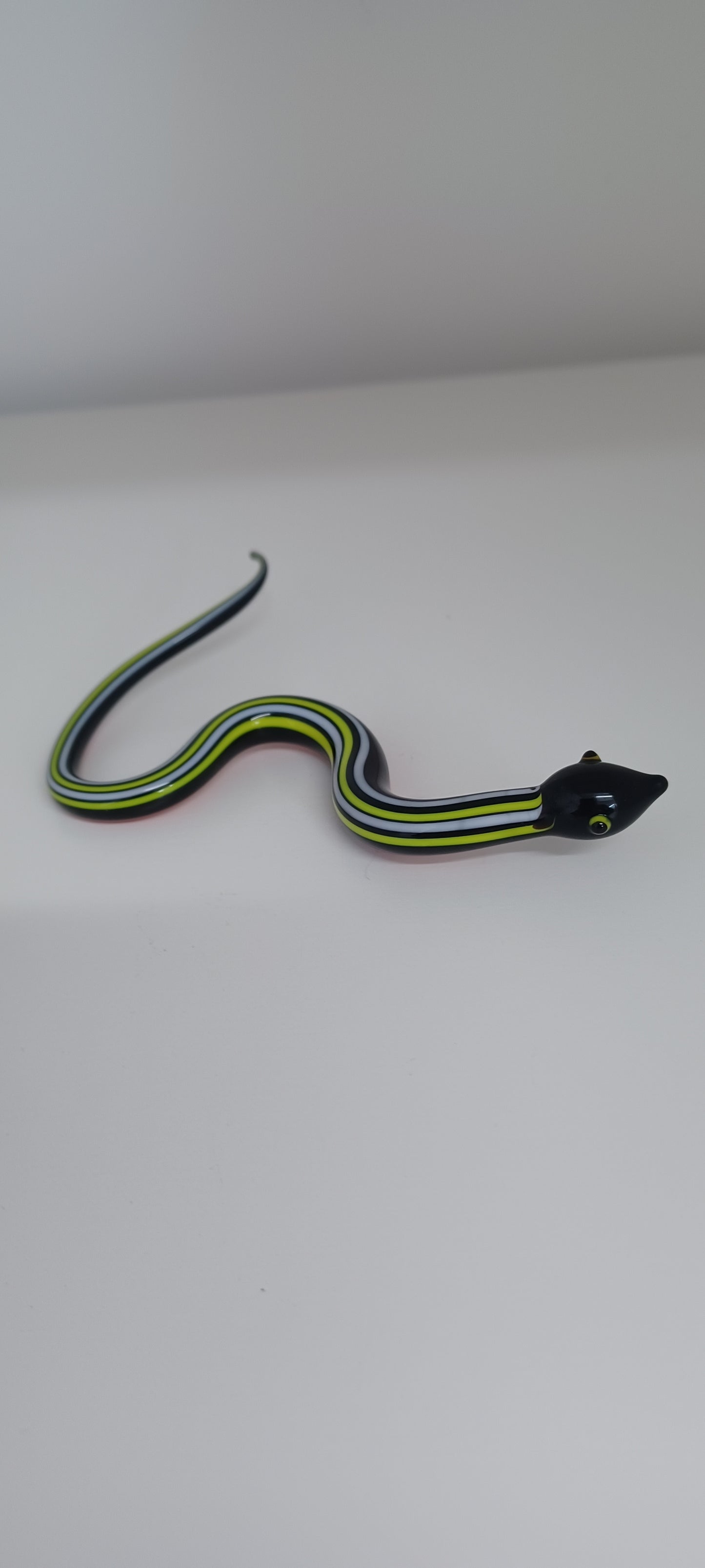 Glass Snake