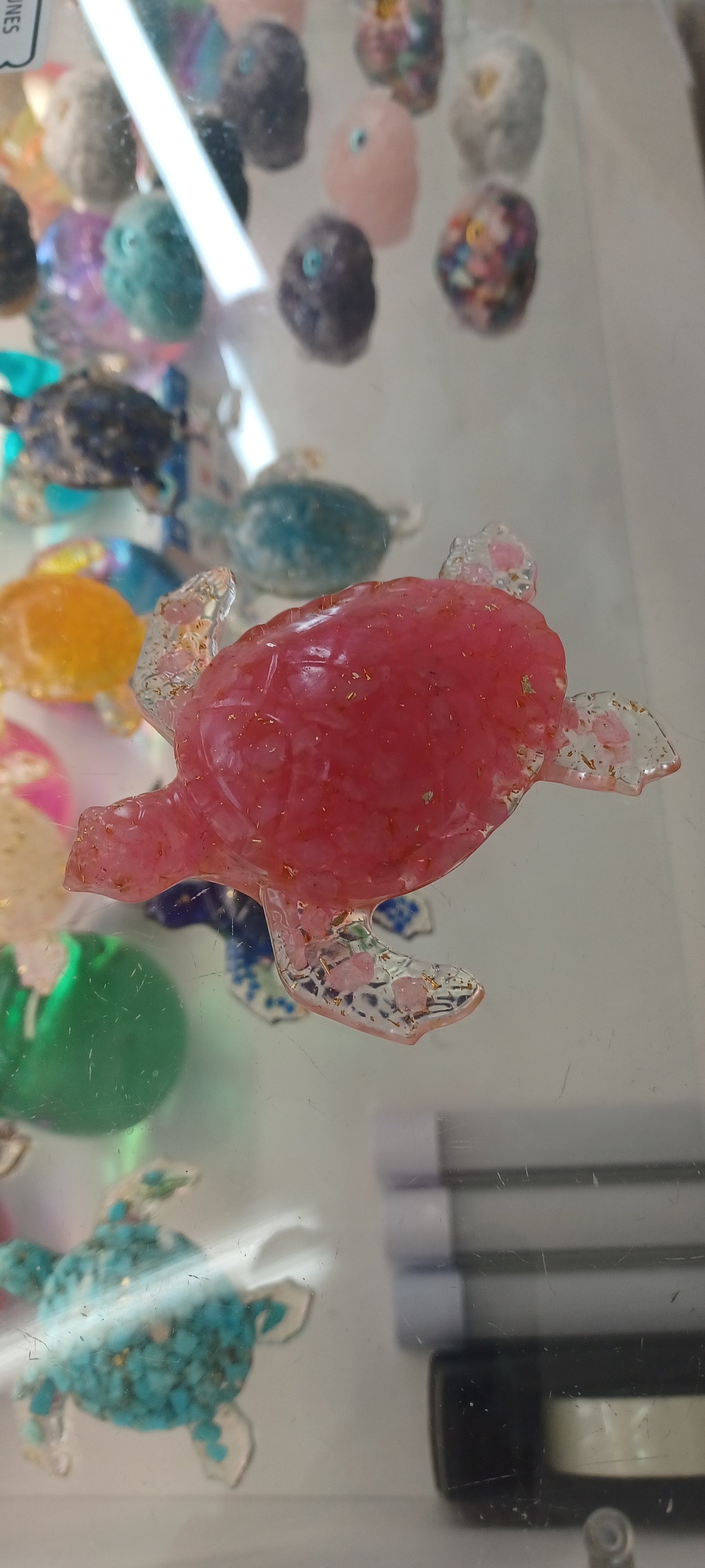 Turtle