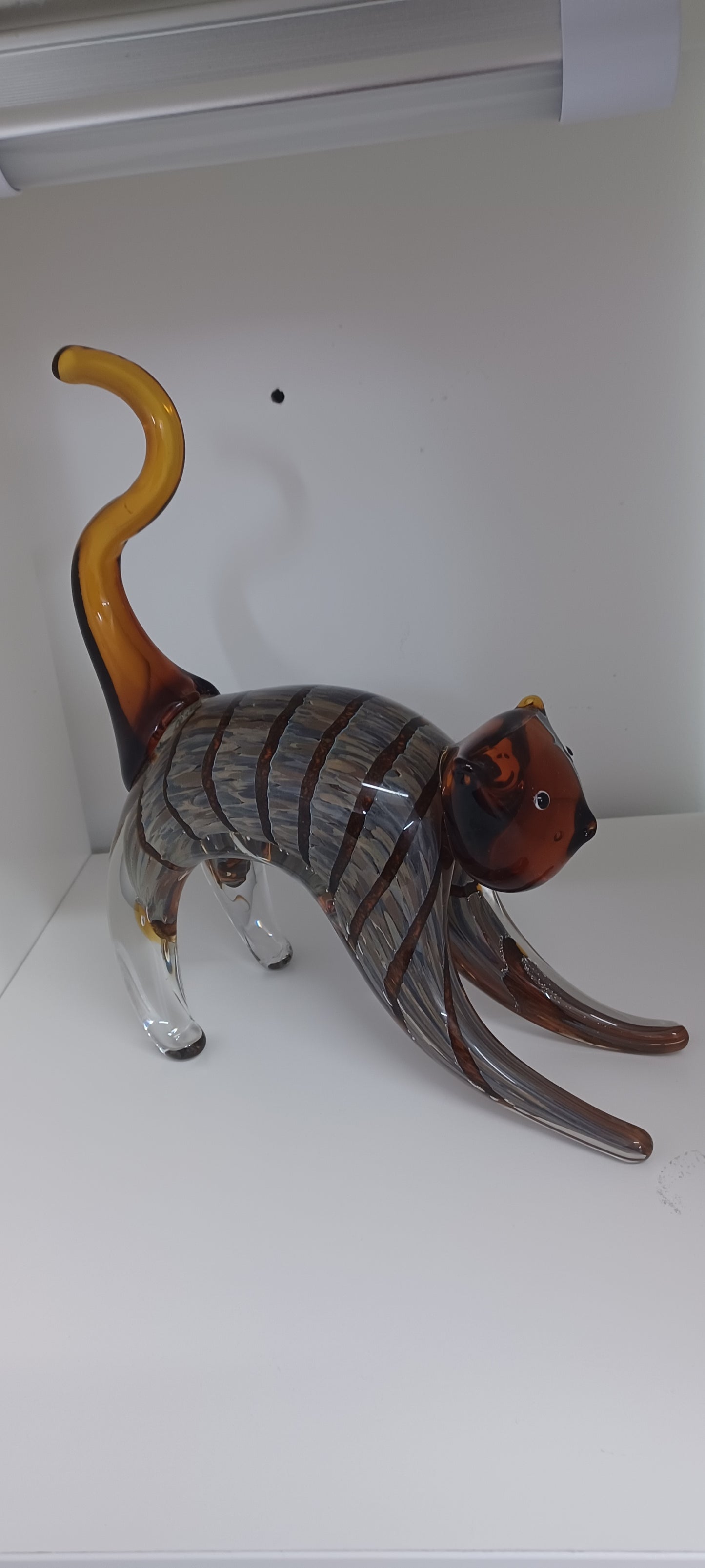 Glass Cat