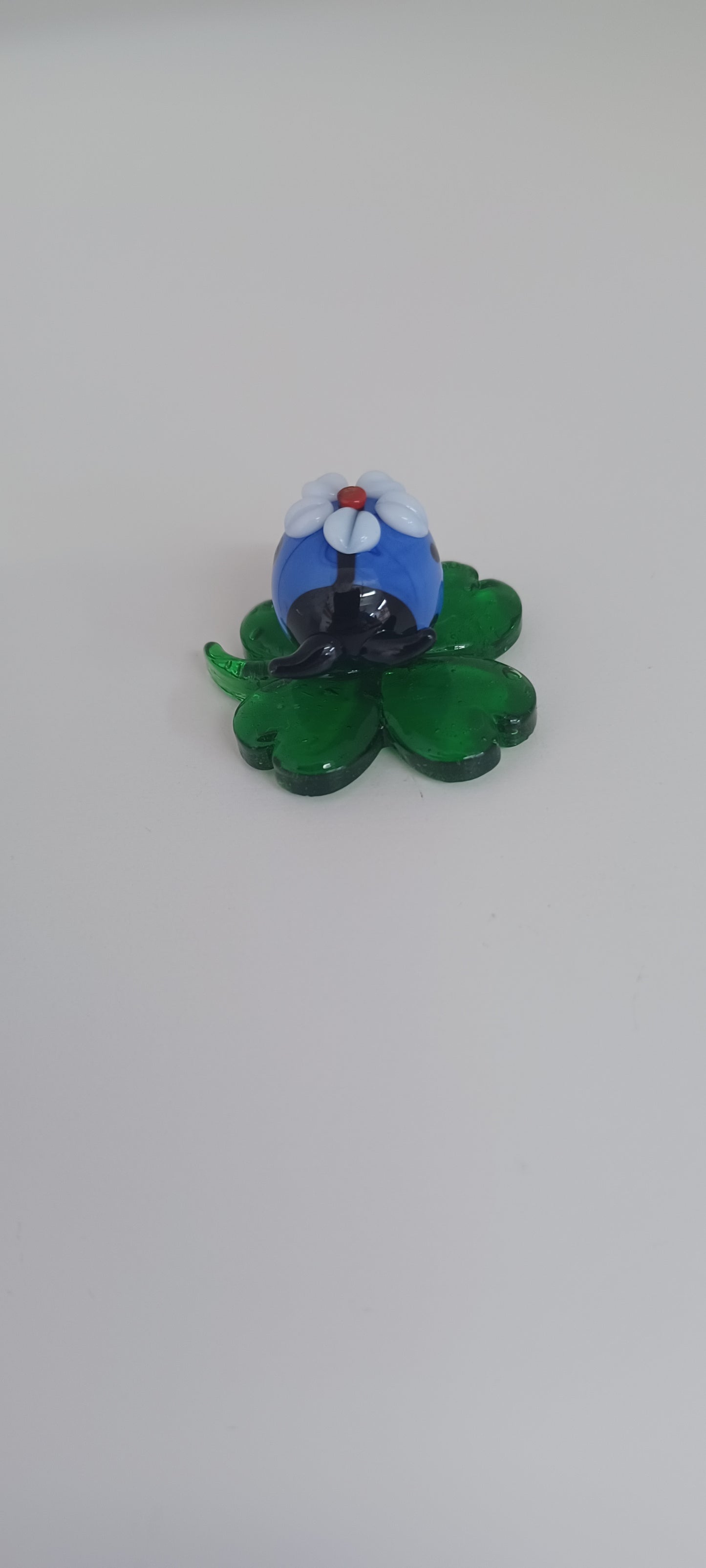 Glass Ladybird