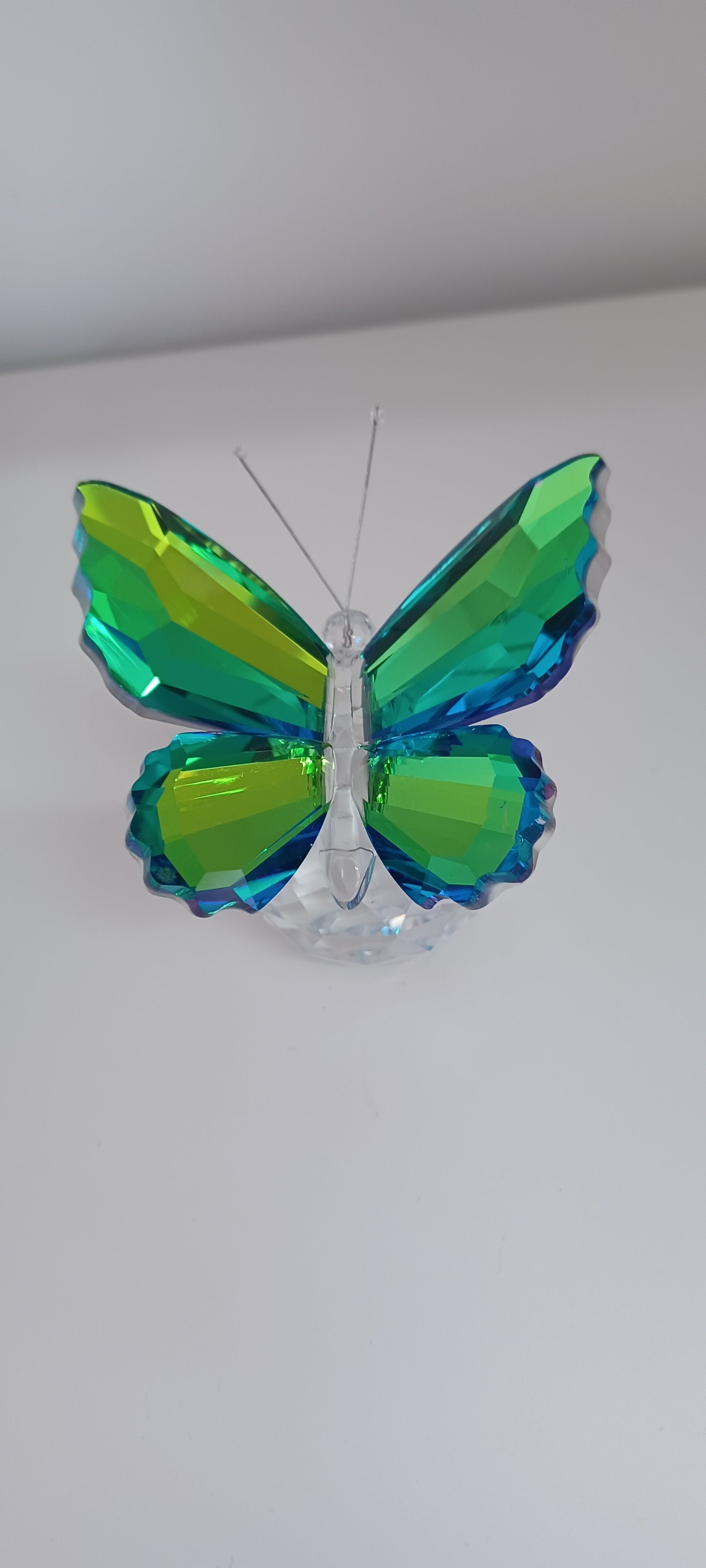 Glass Butterfly