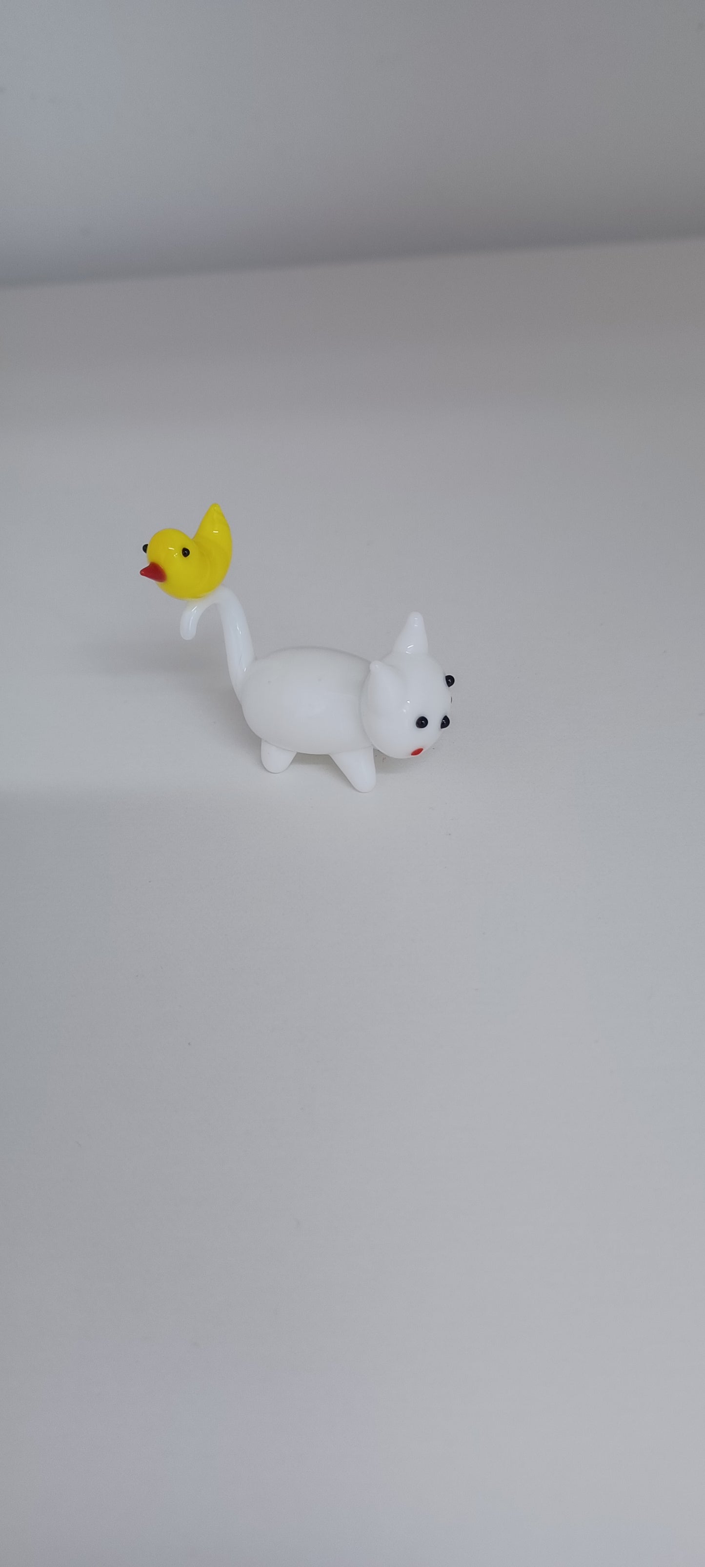 Glass Cat