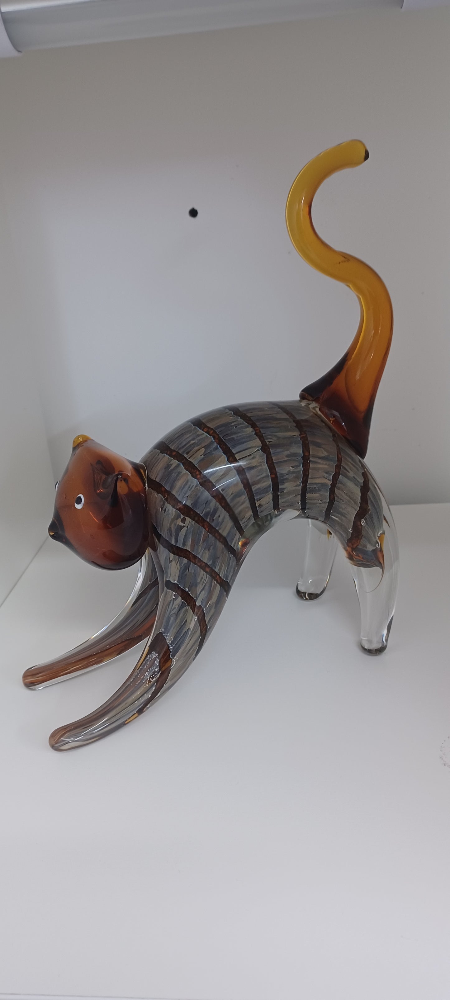 Glass Cat
