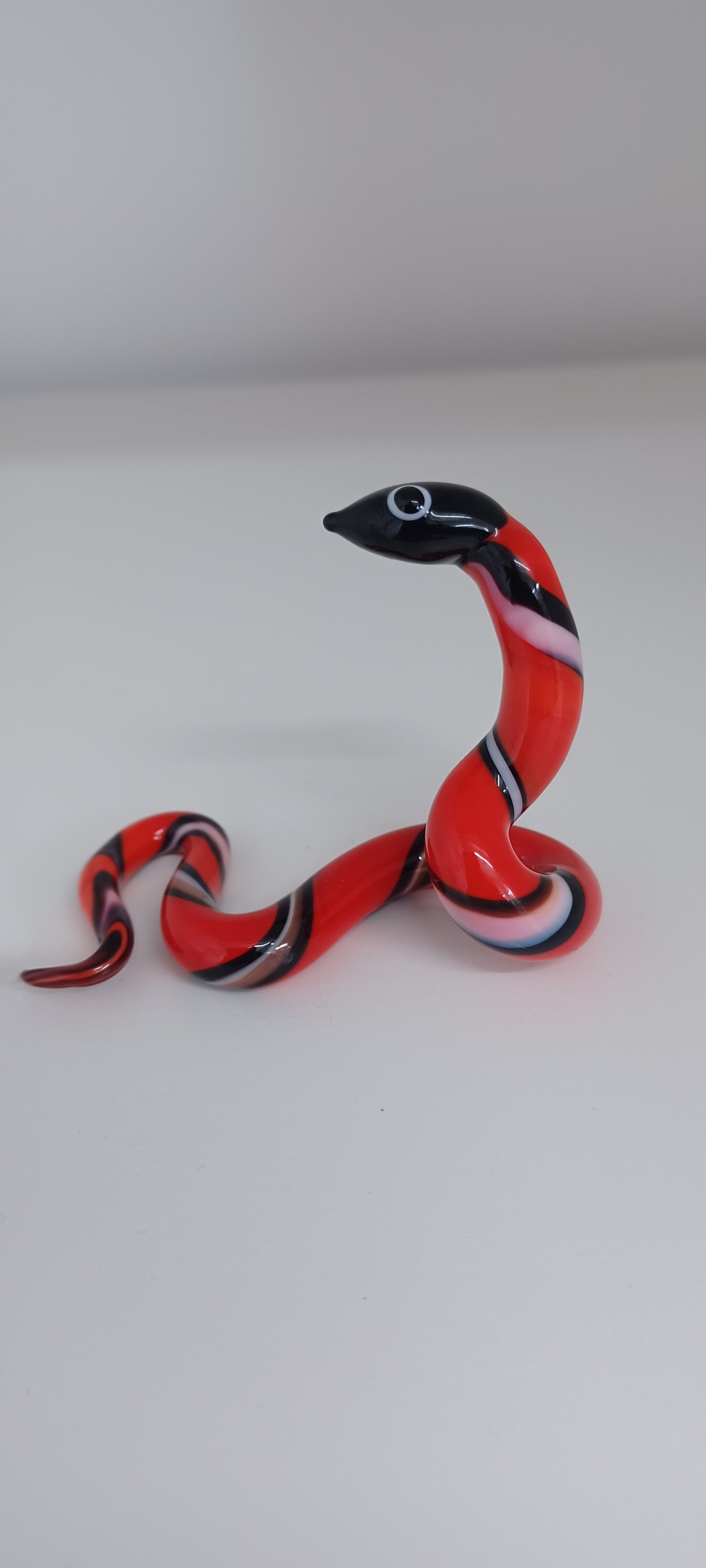 Glass Snake