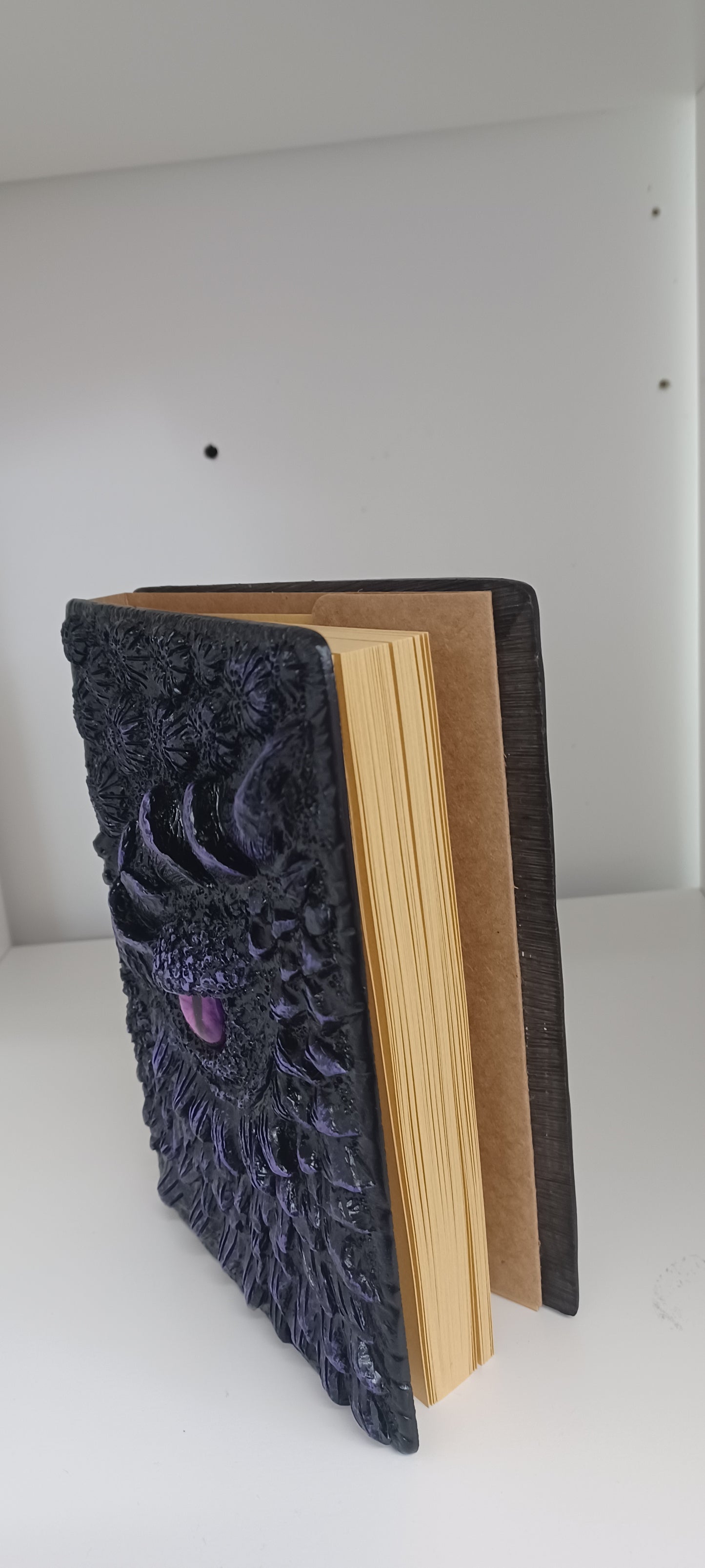 Dragon Eye Diary