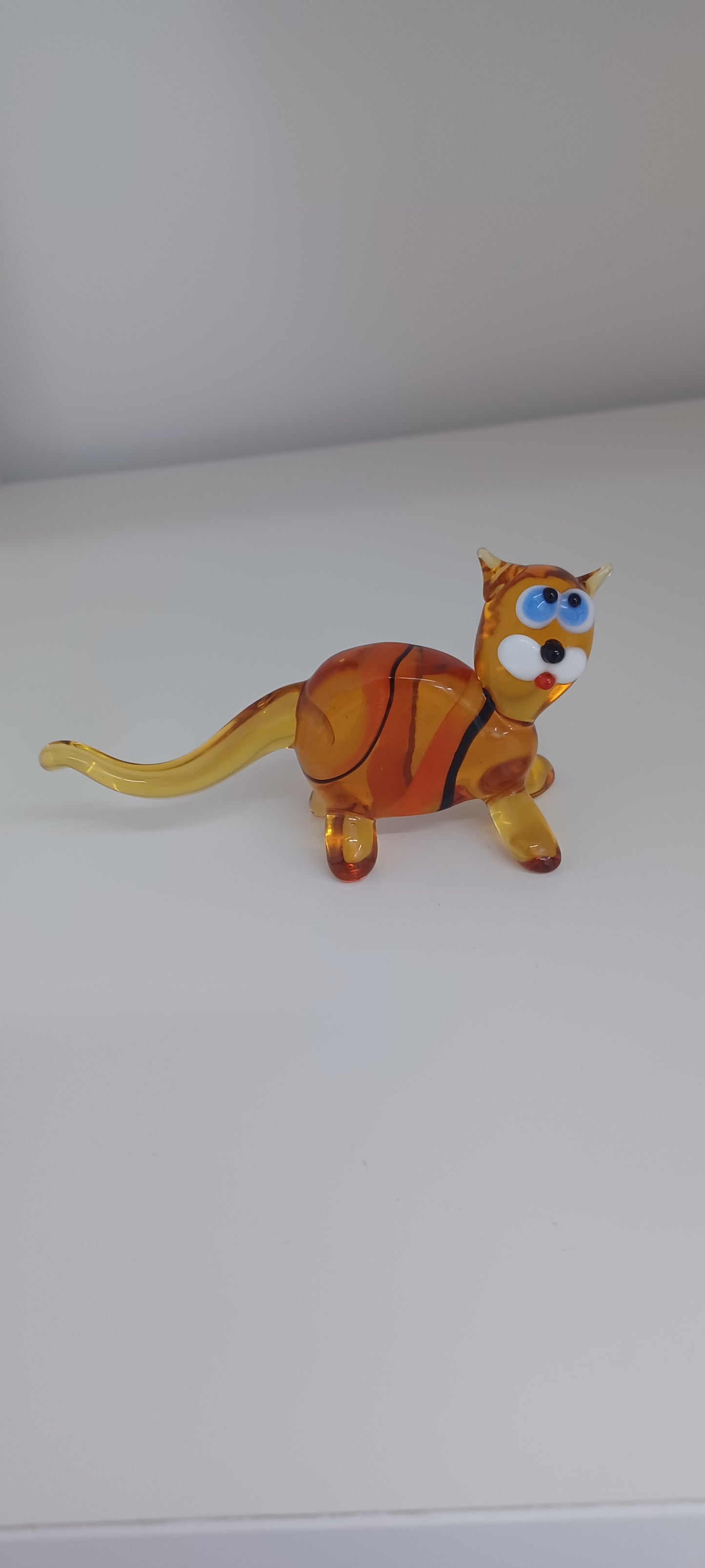 Glass Cat