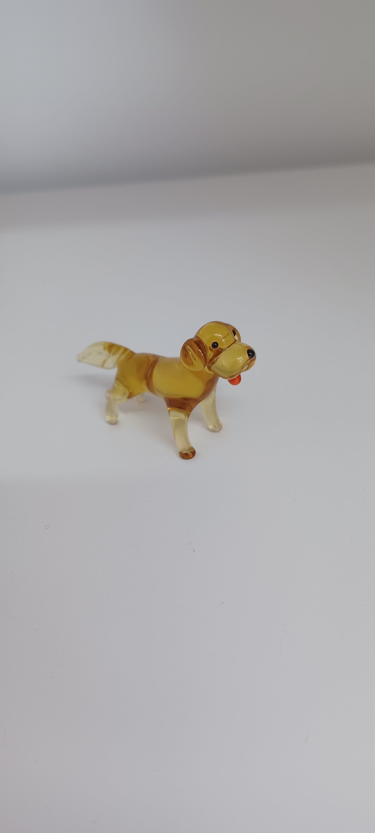 Glass Dog