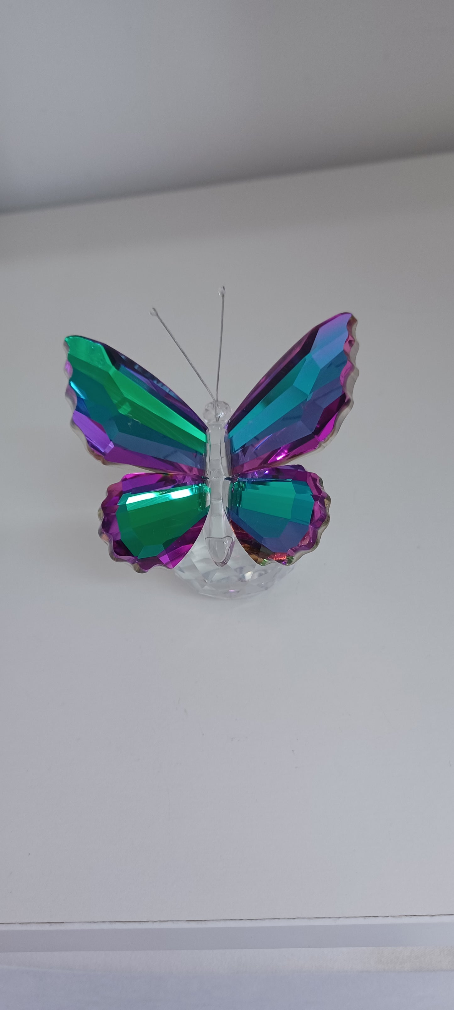 Glass Butterfly