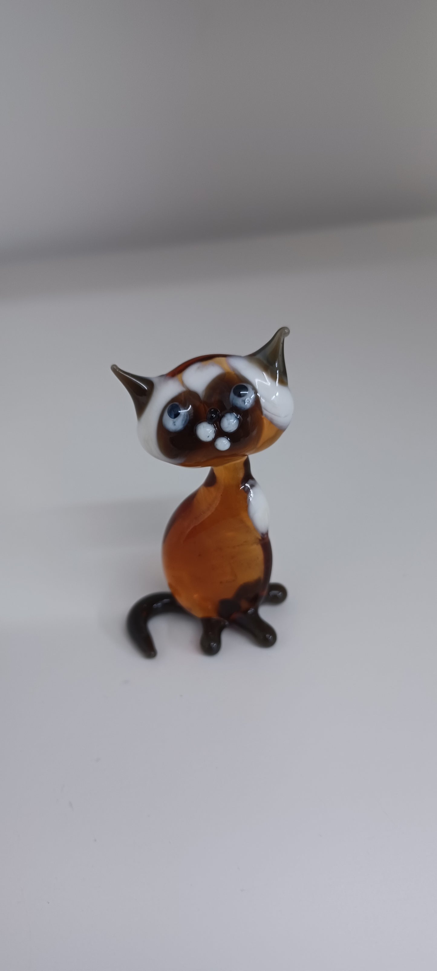 Glass Cat