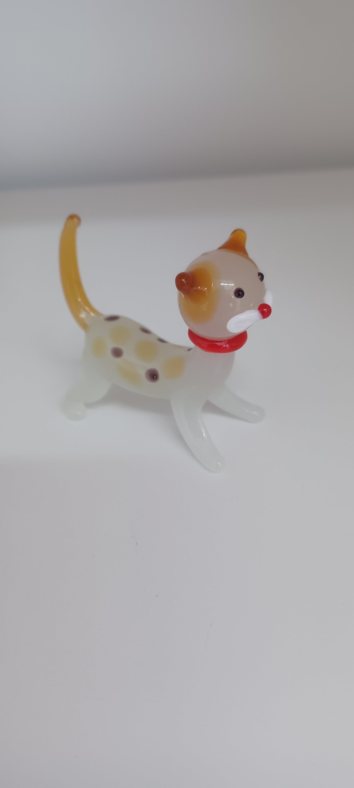 Glass Cat