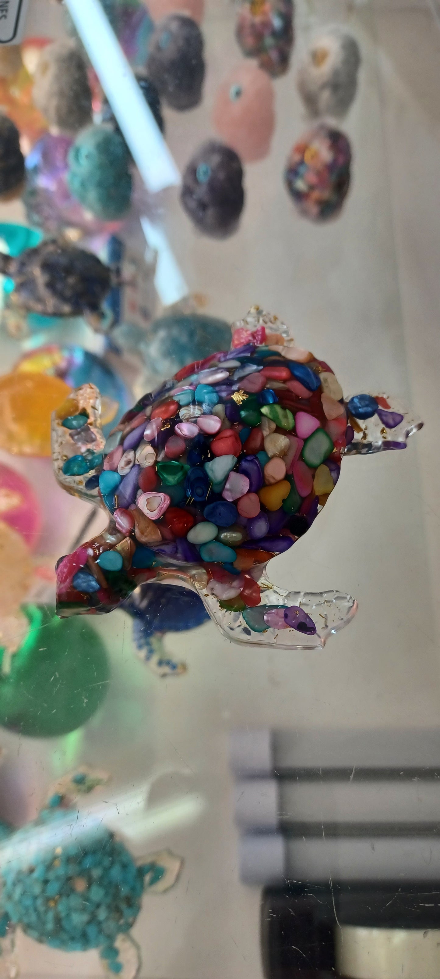 Turtle