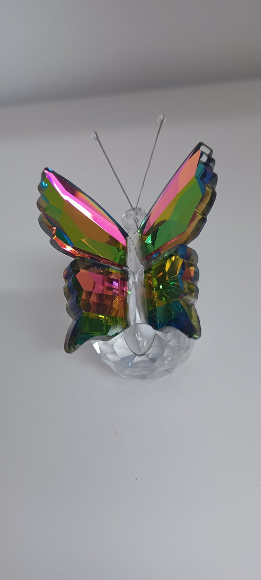 Glass Butterfly
