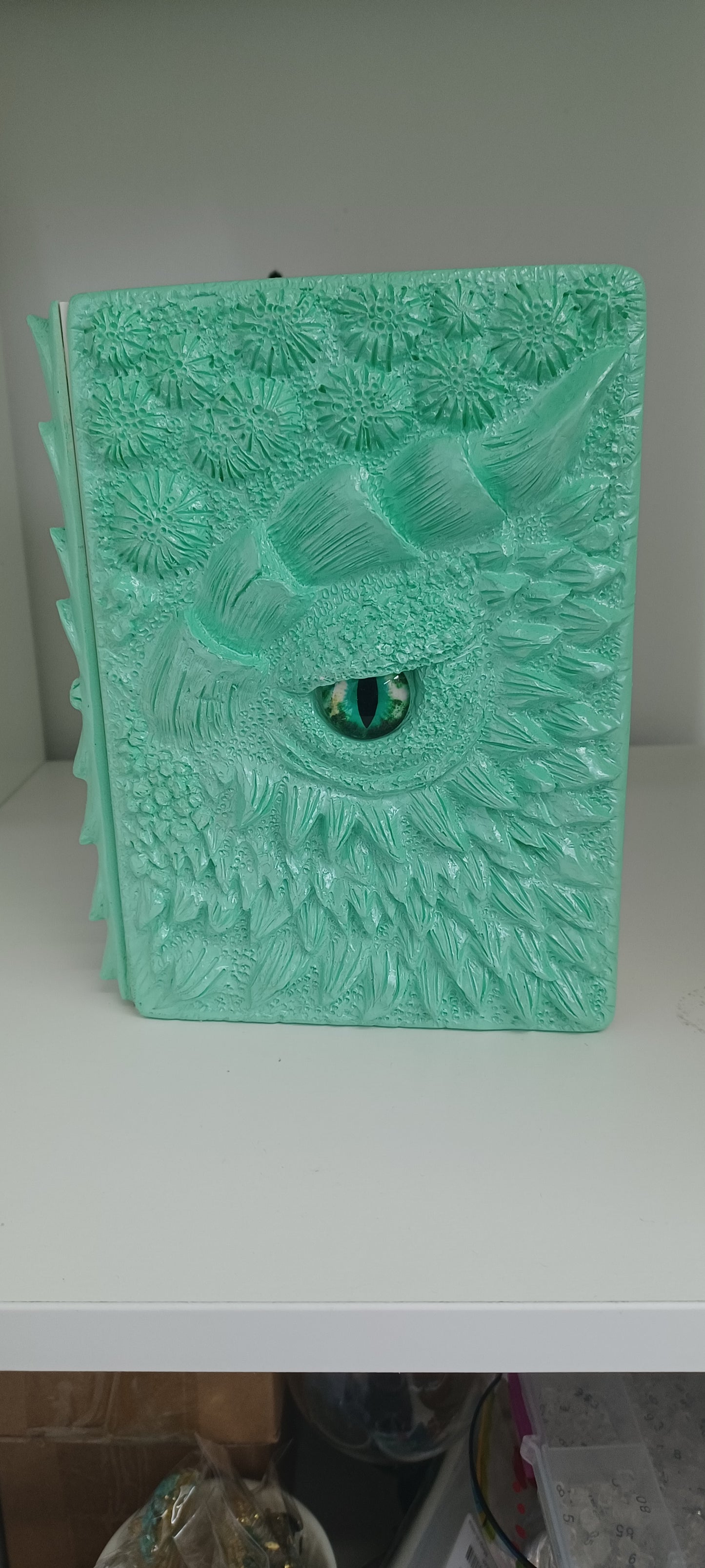 Dragon Eye Diary