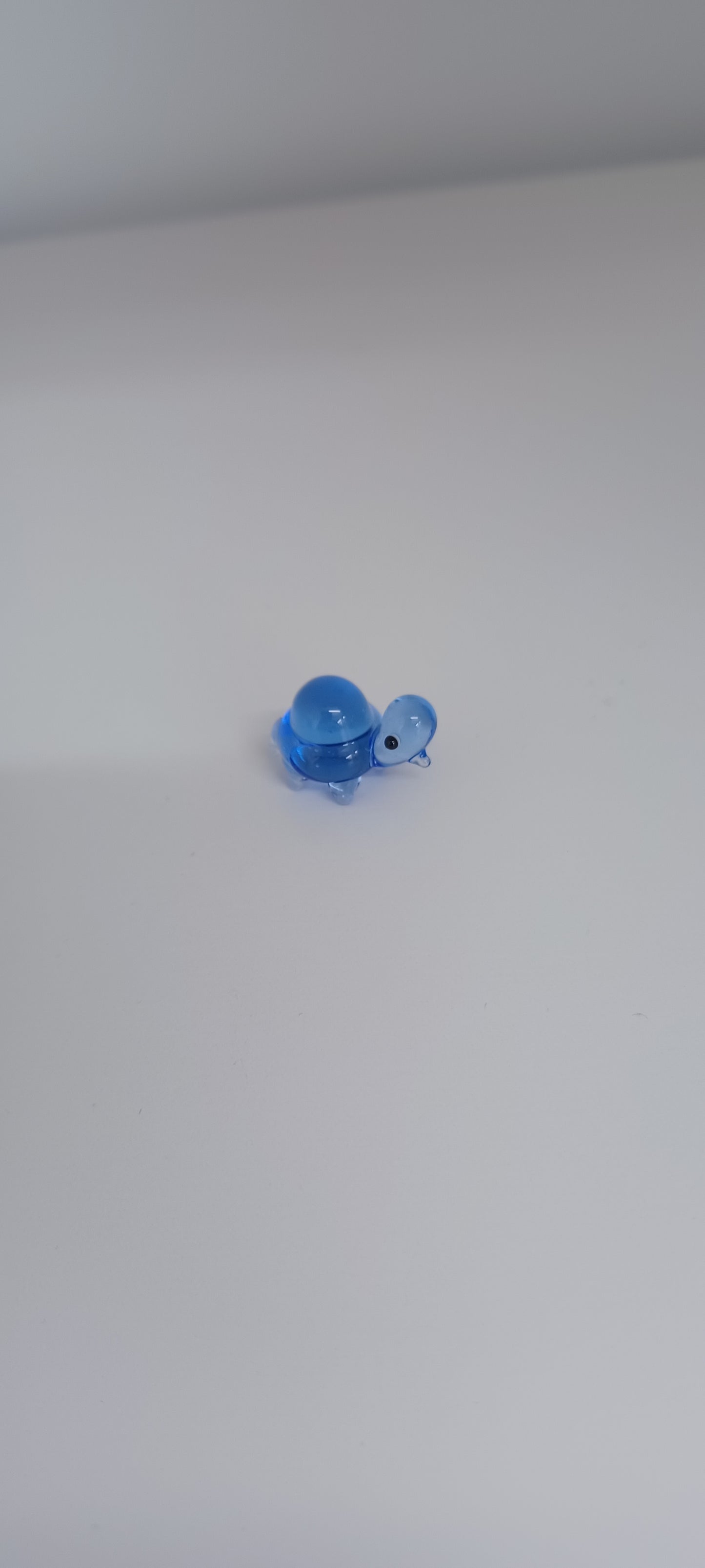 Glass Turtle