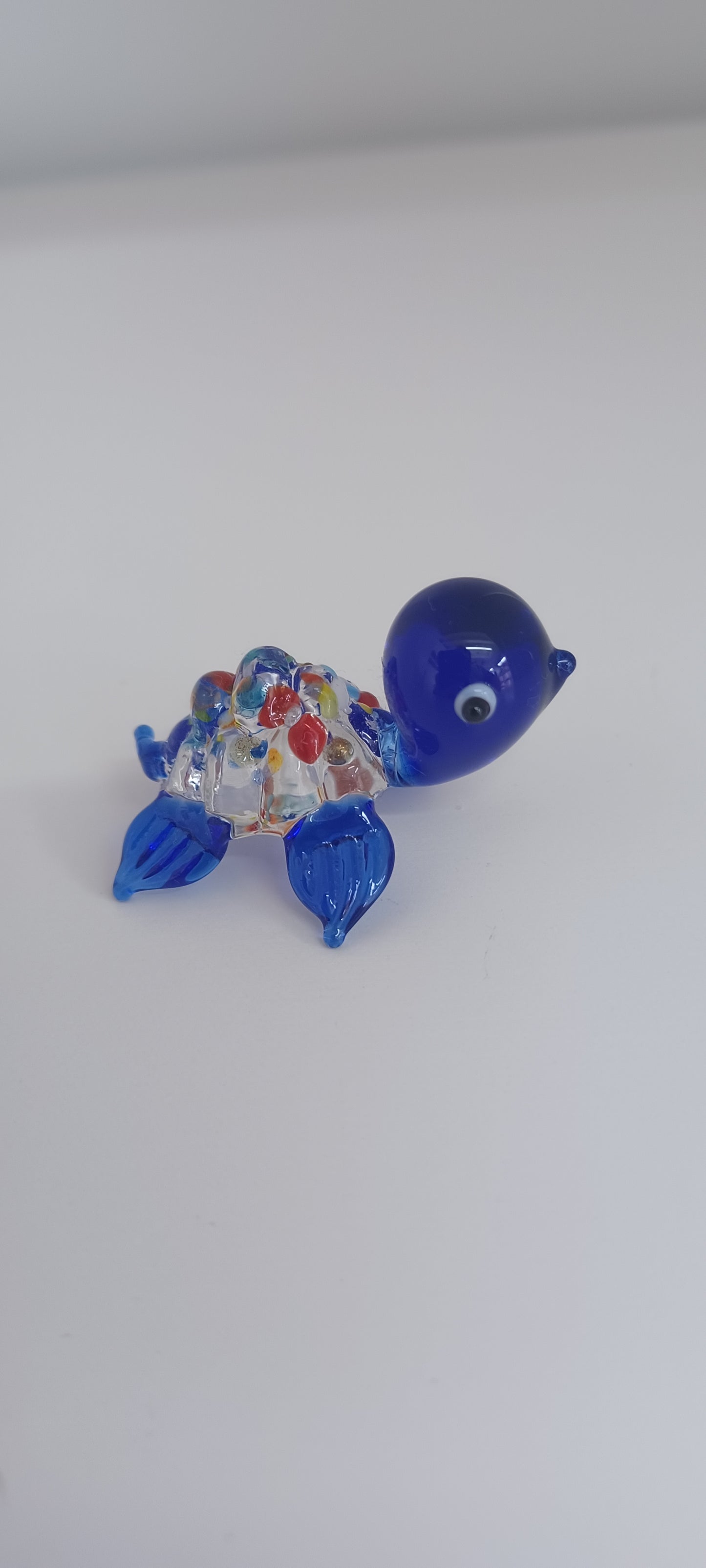 Glass Turtle