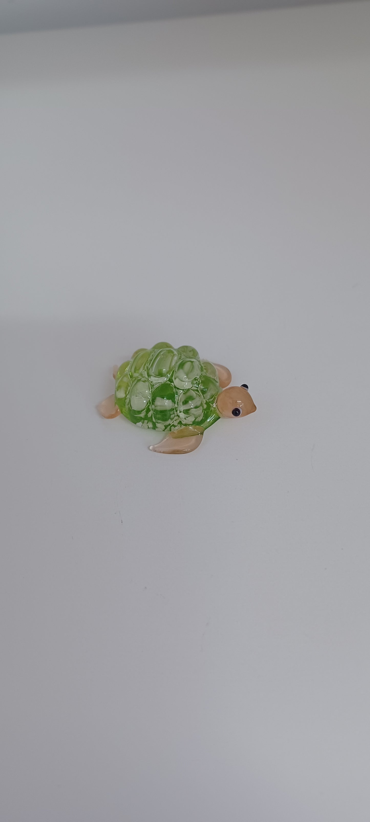 Glass Turtle