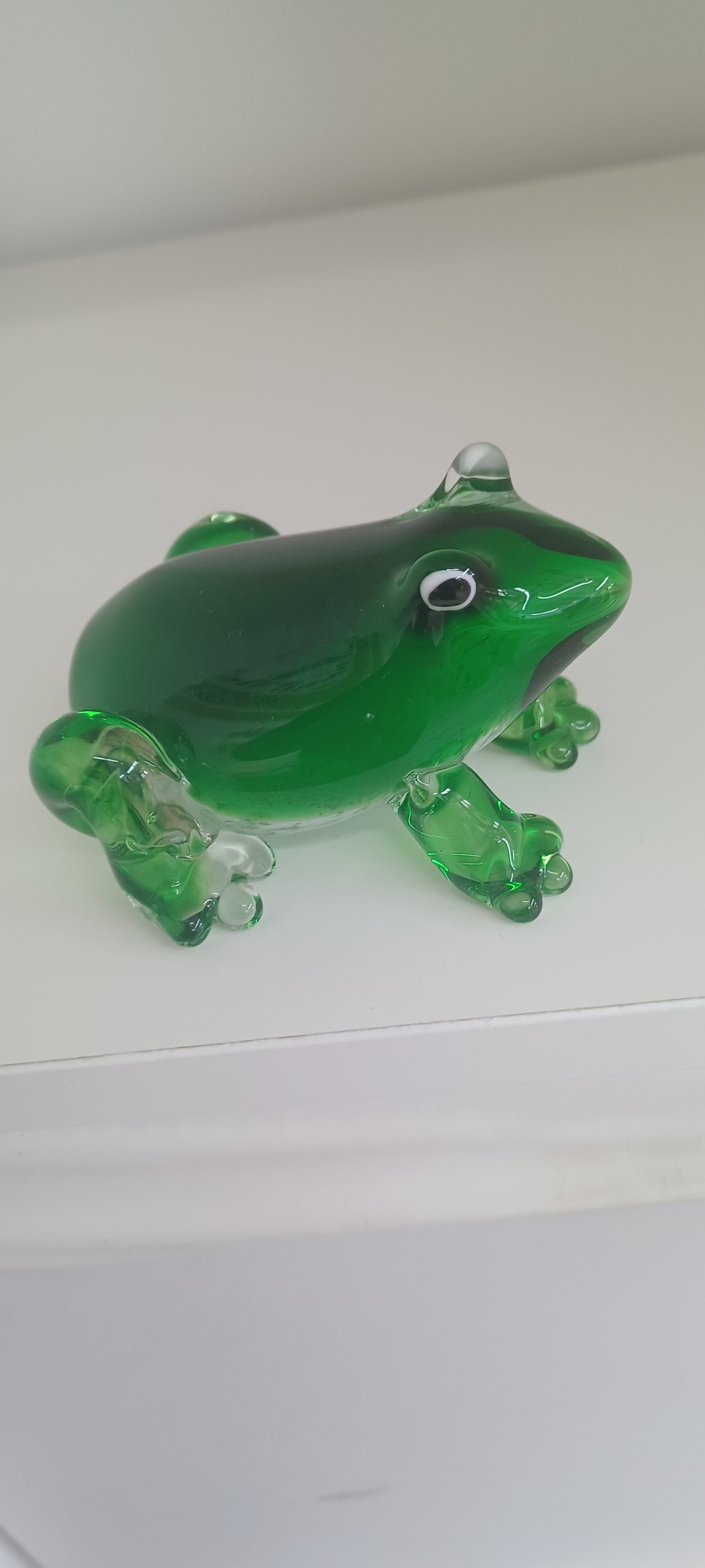 Glass Frog