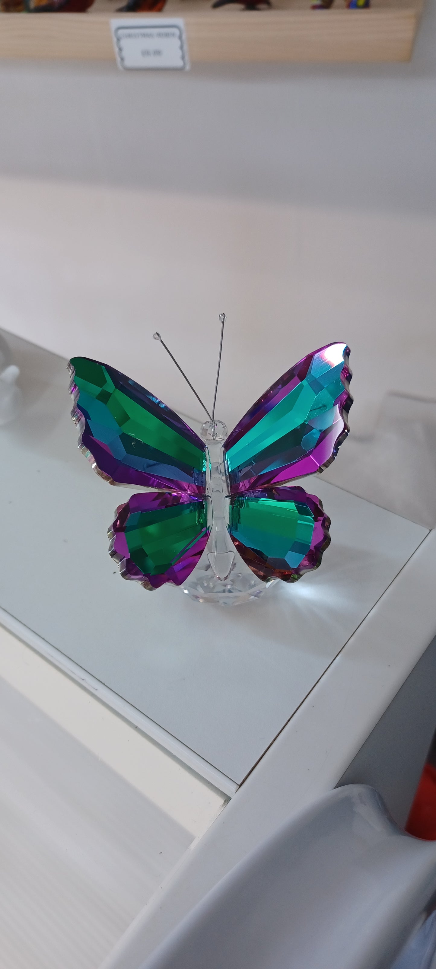 Glass Butterfly