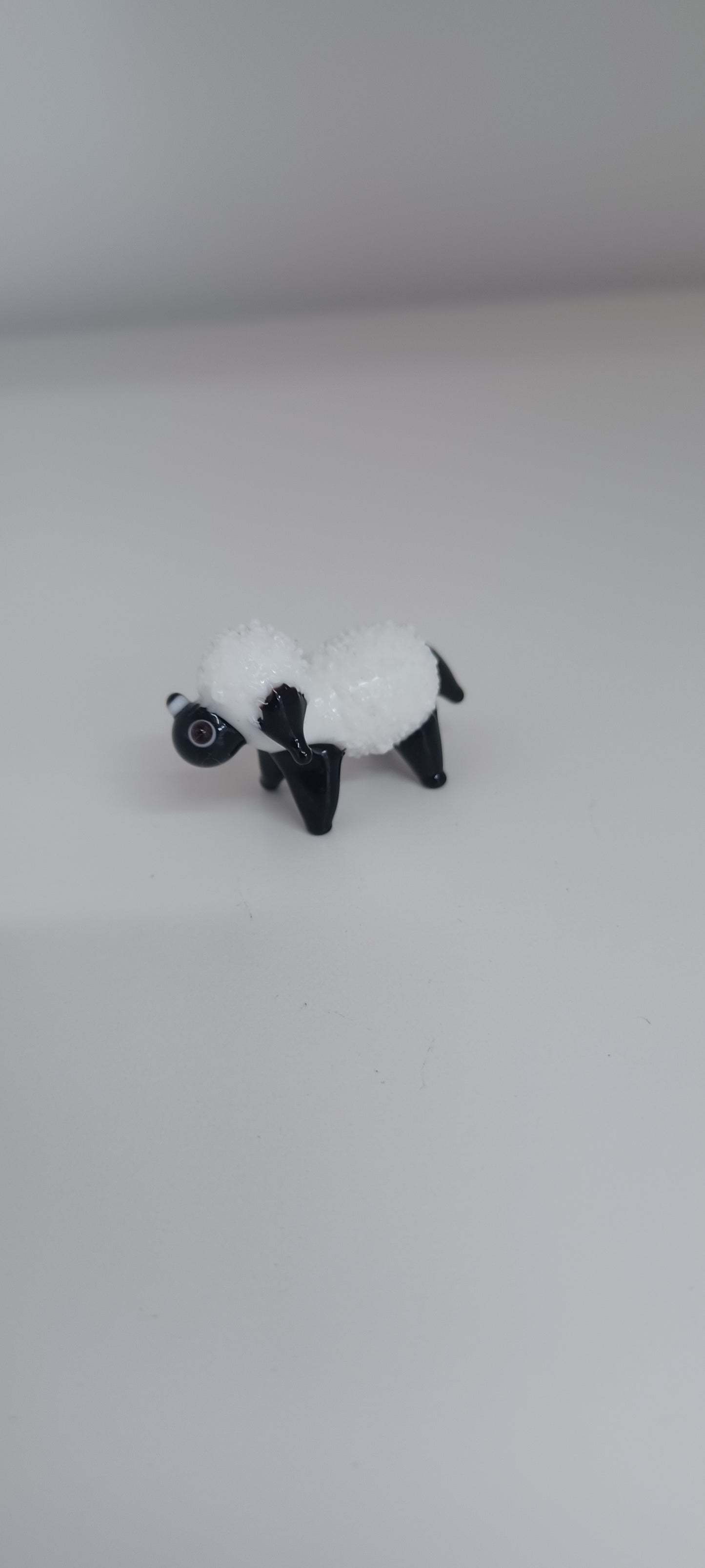 Glass Sheep