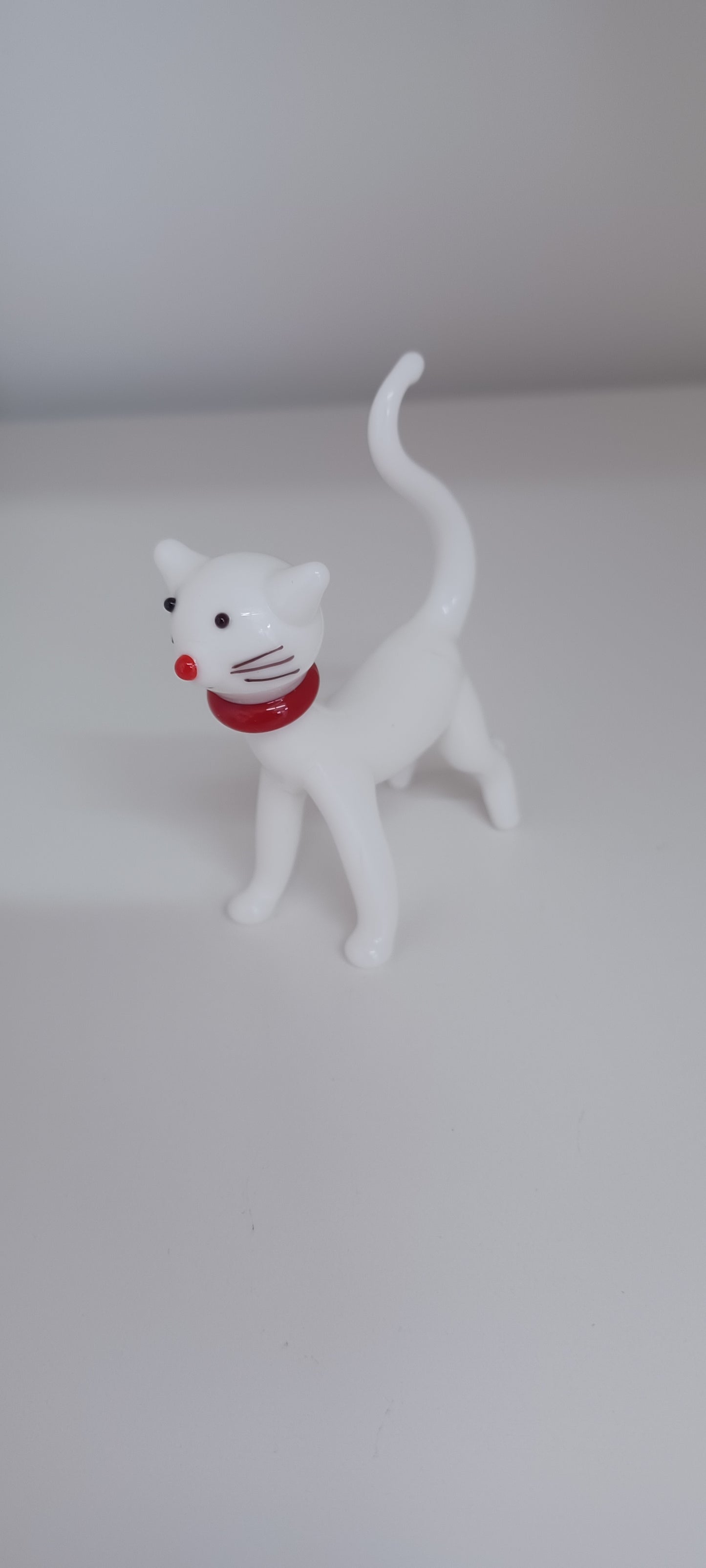 Glass Cat