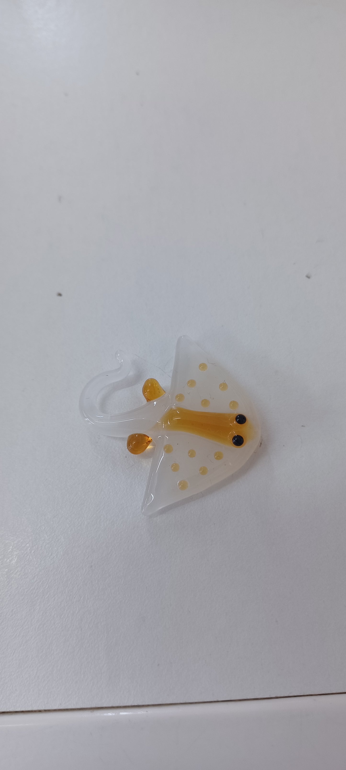 Glass Ray