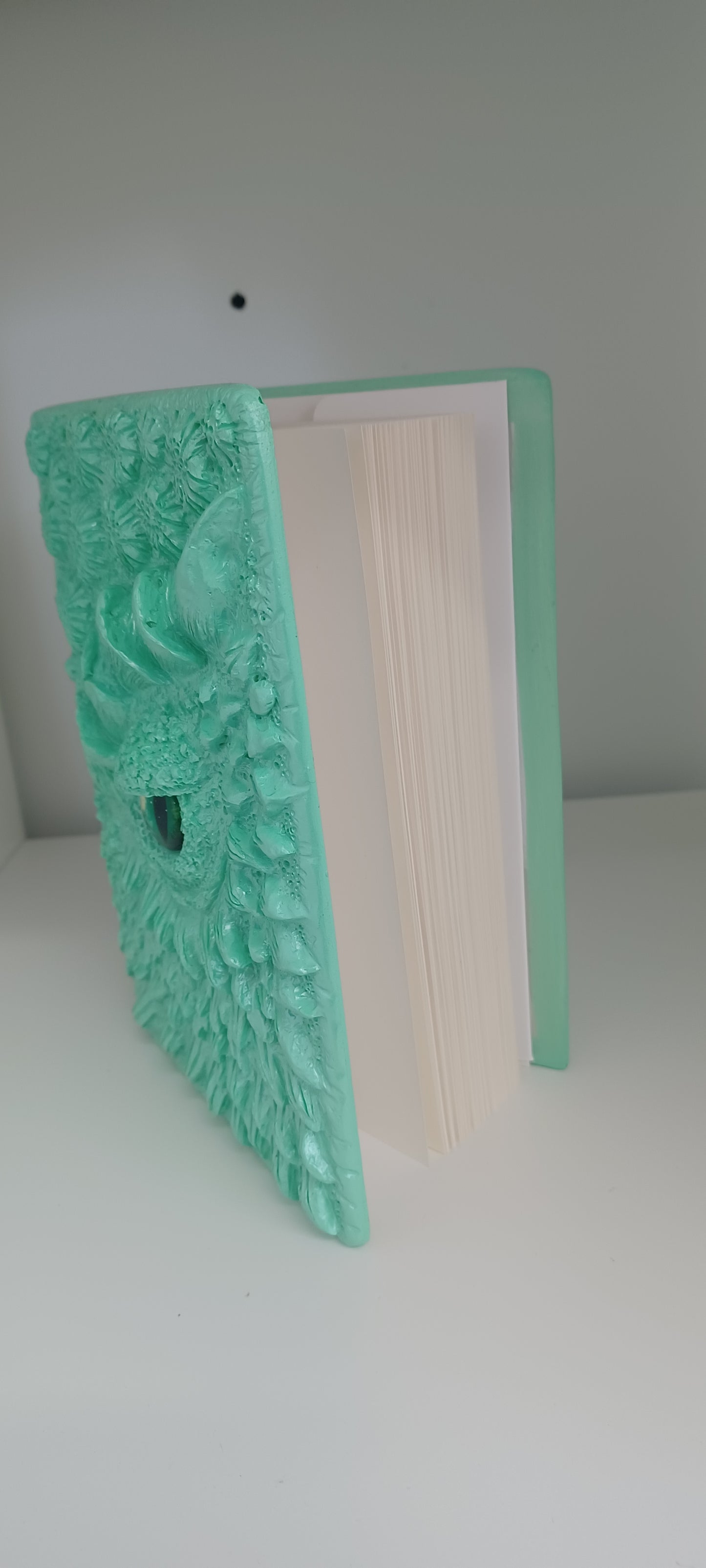 Dragon Eye Diary