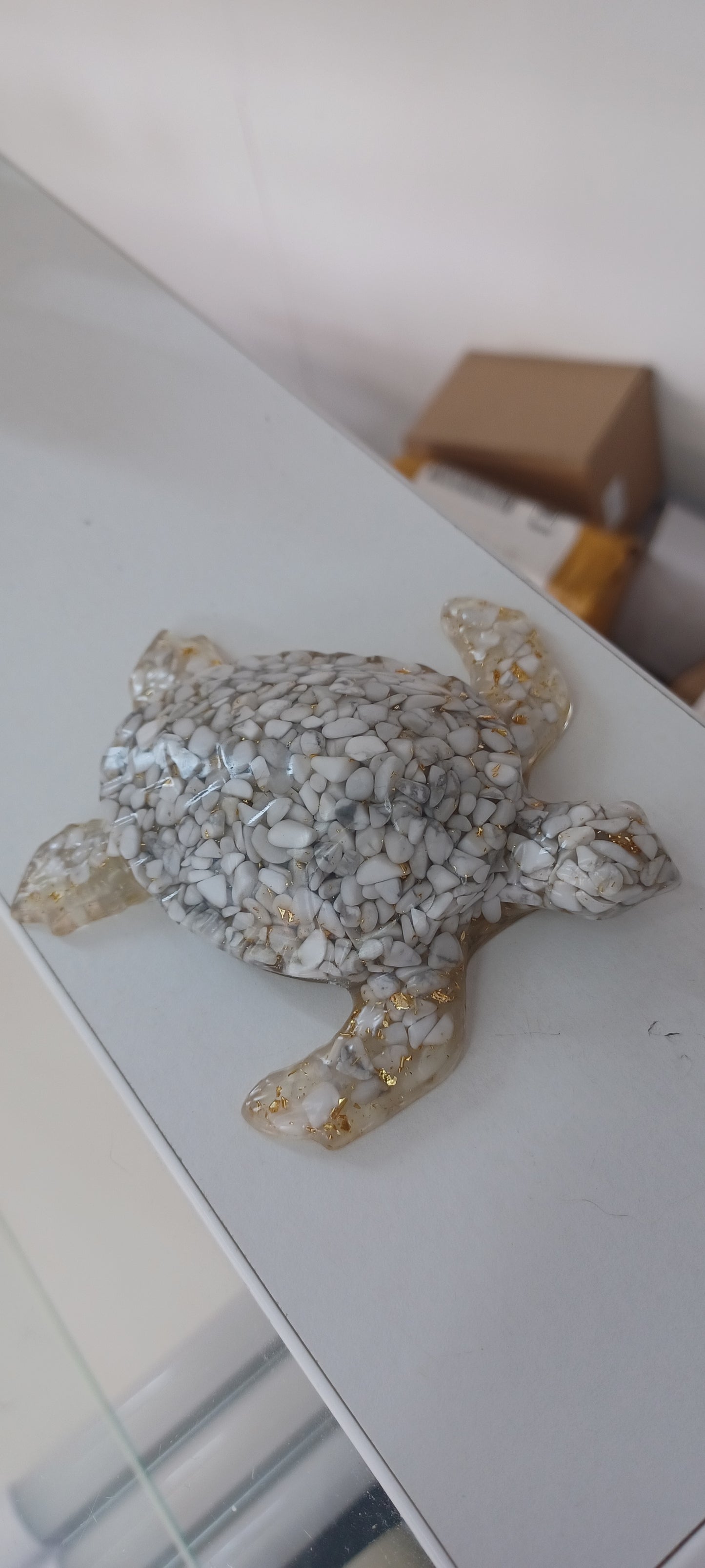 Turtle
