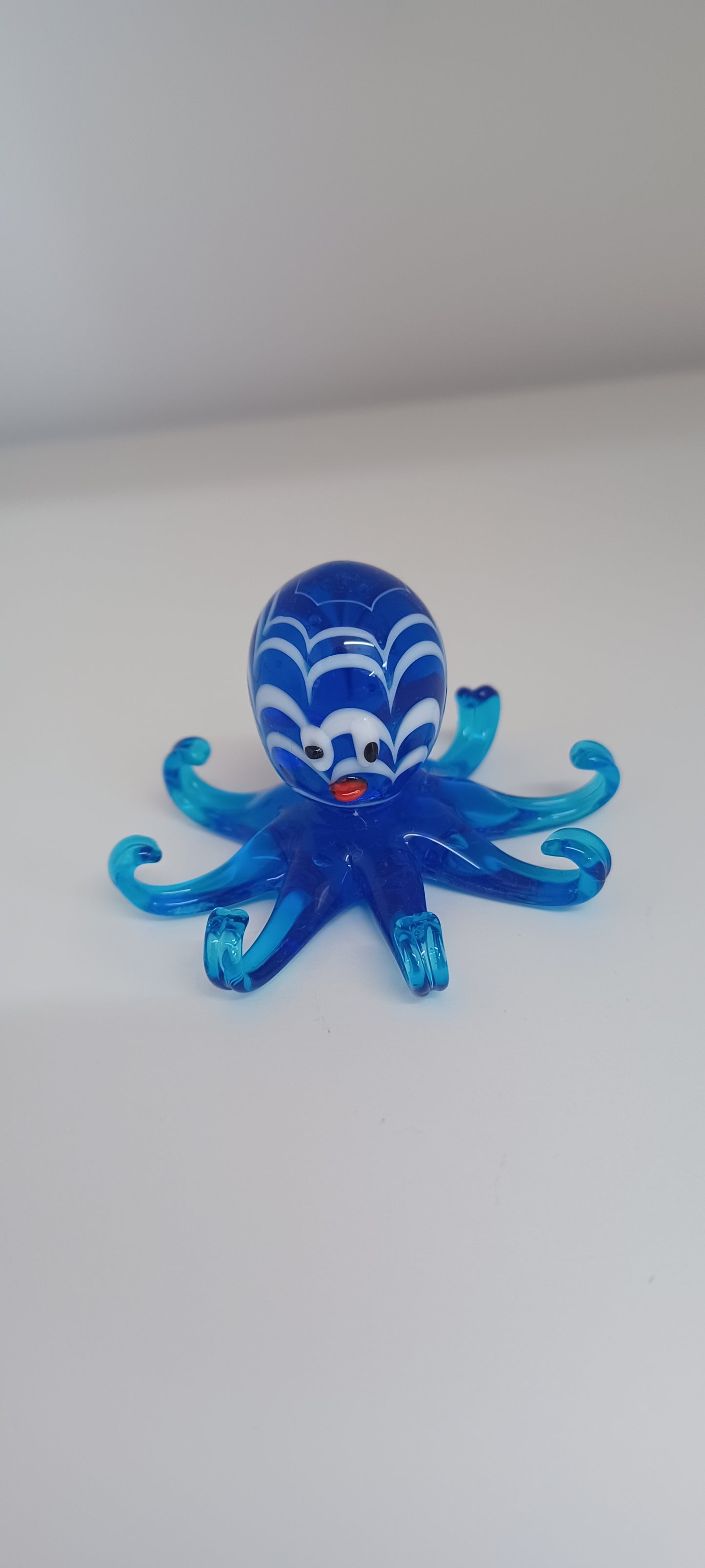 Glass Octopus