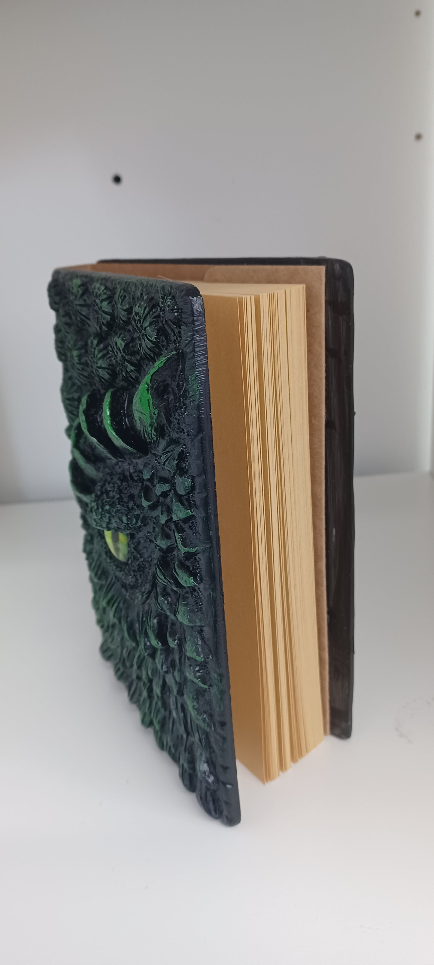 Dragon Eye Diary