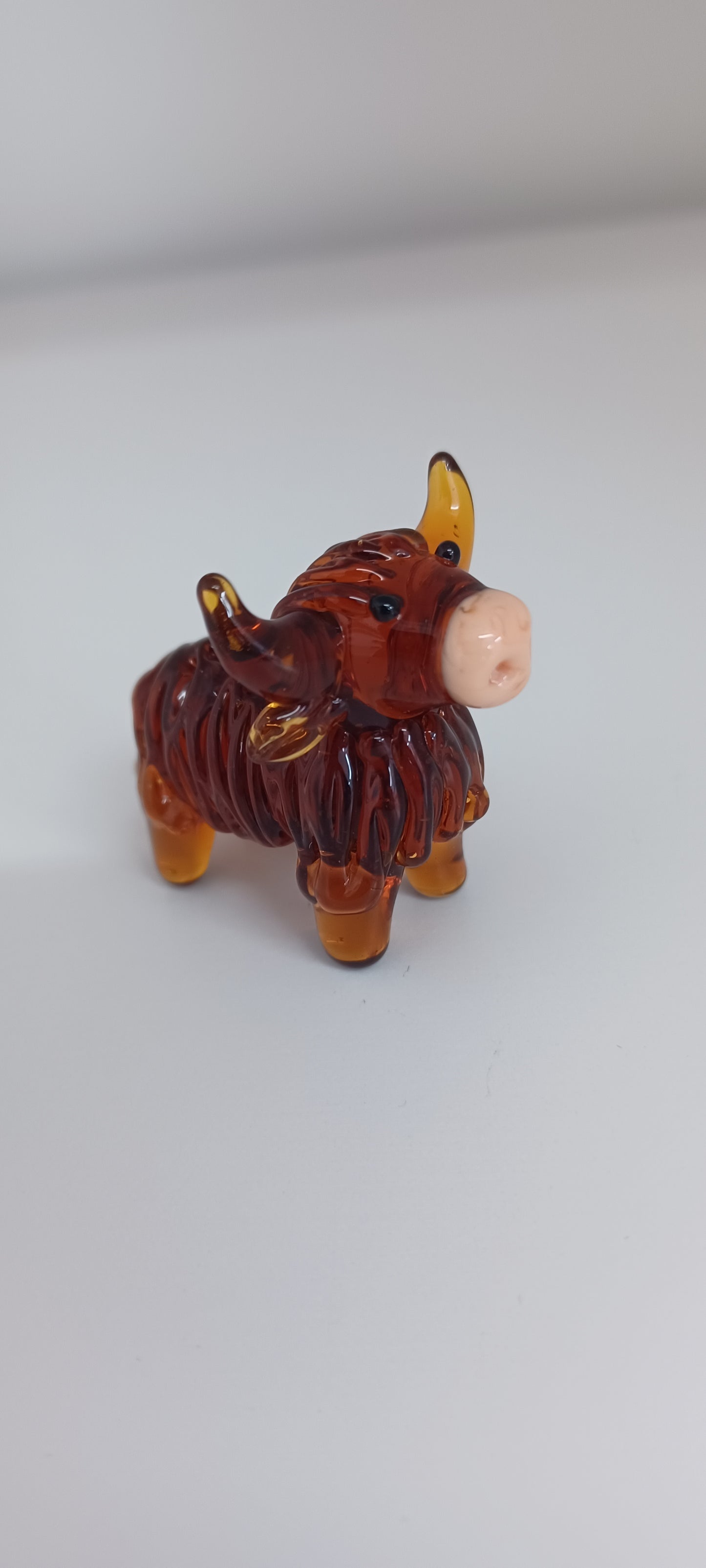 Glass Highland cow