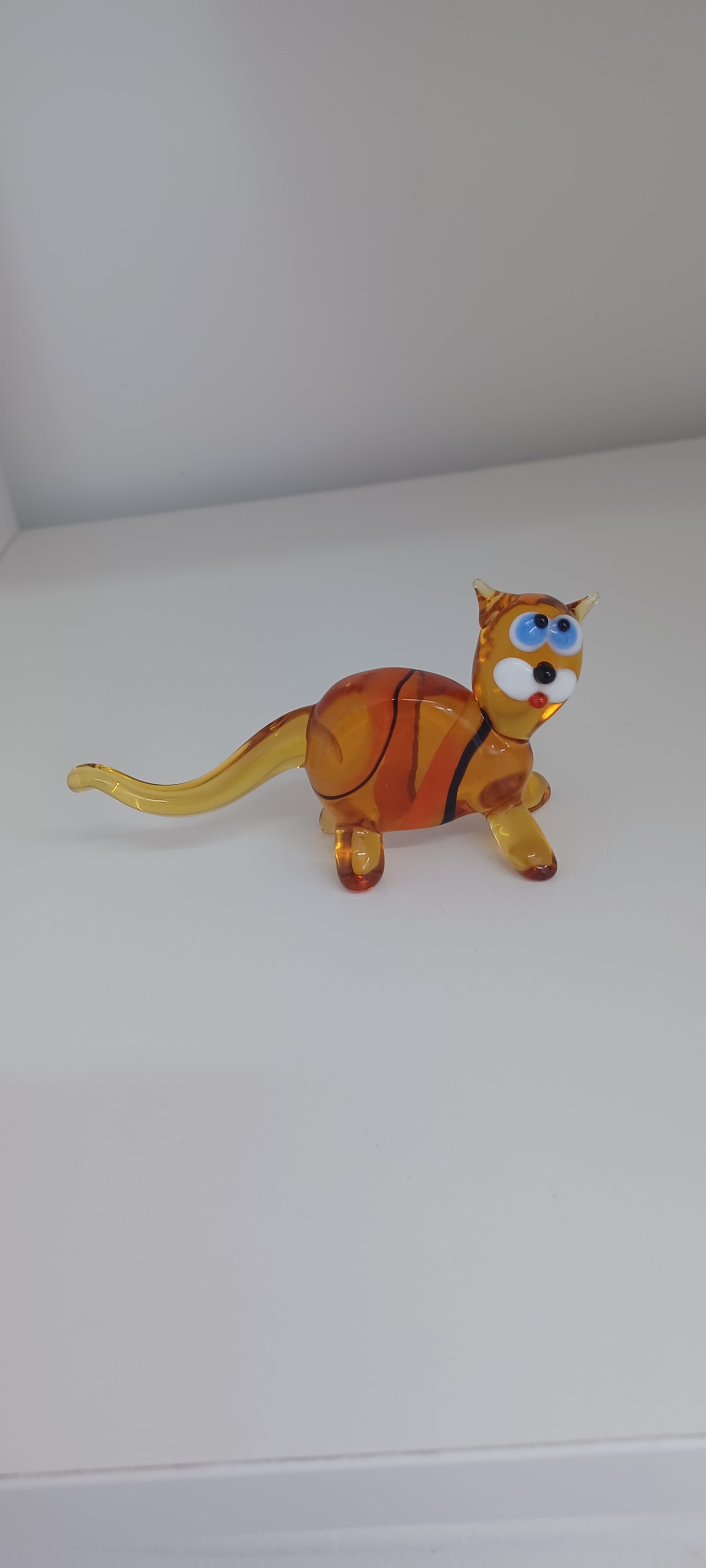 Glass Cat