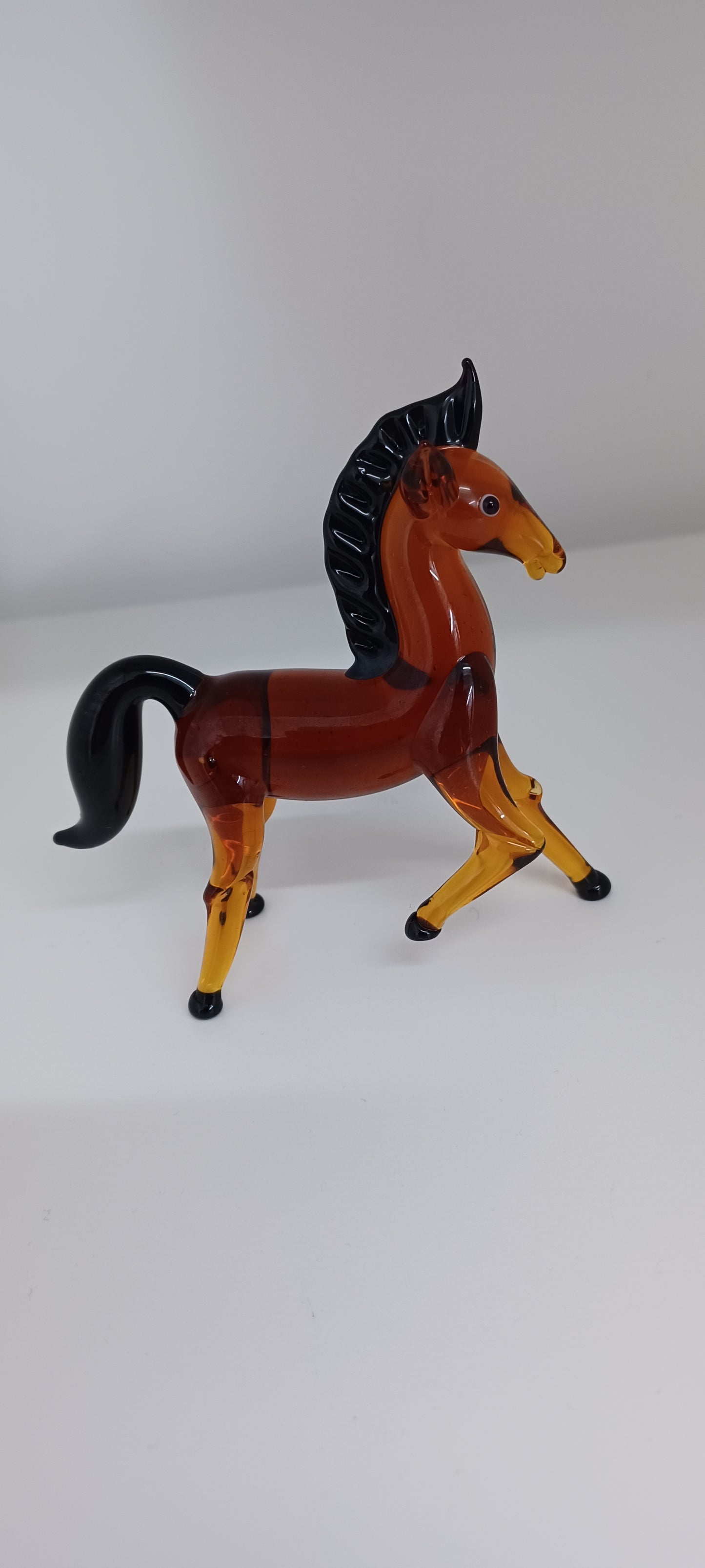Glass Horse