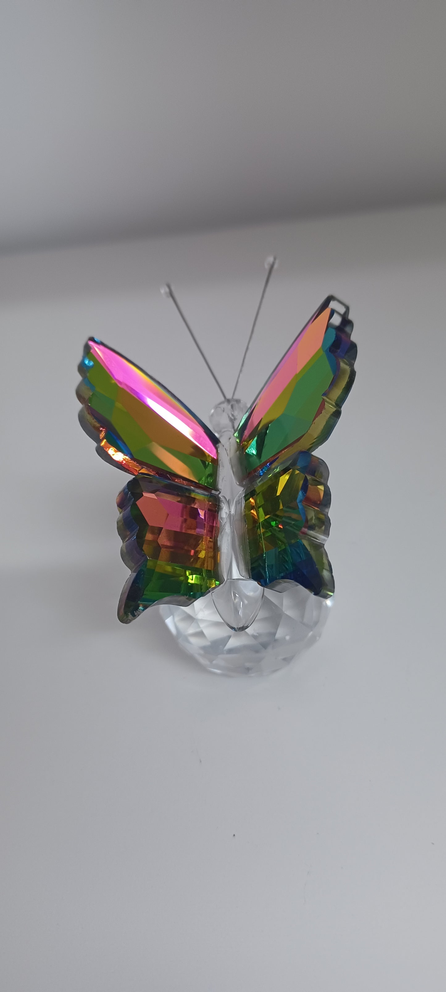 Glass Butterfly