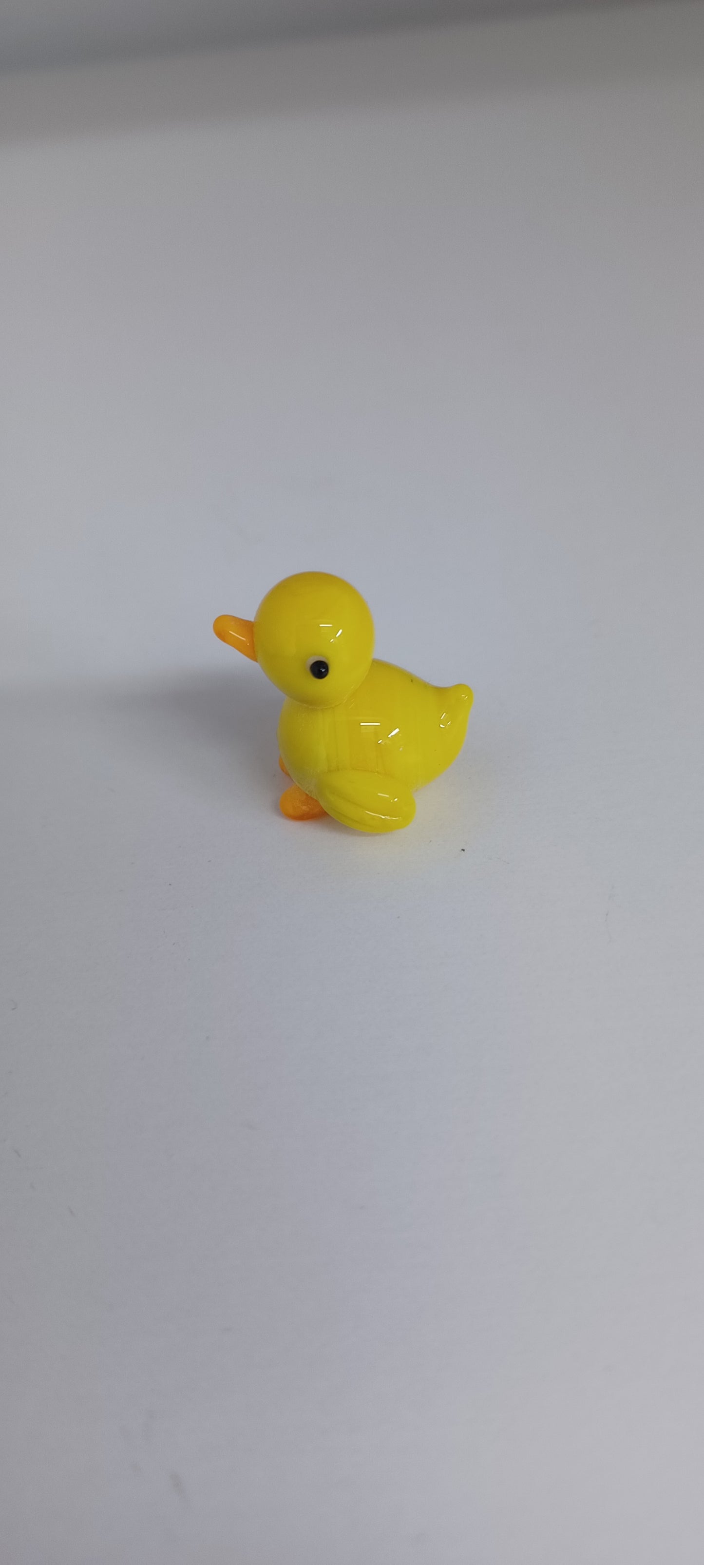 Glass Duck