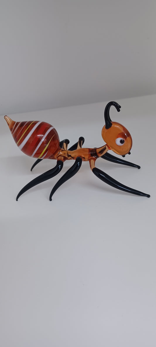 Glass Ant