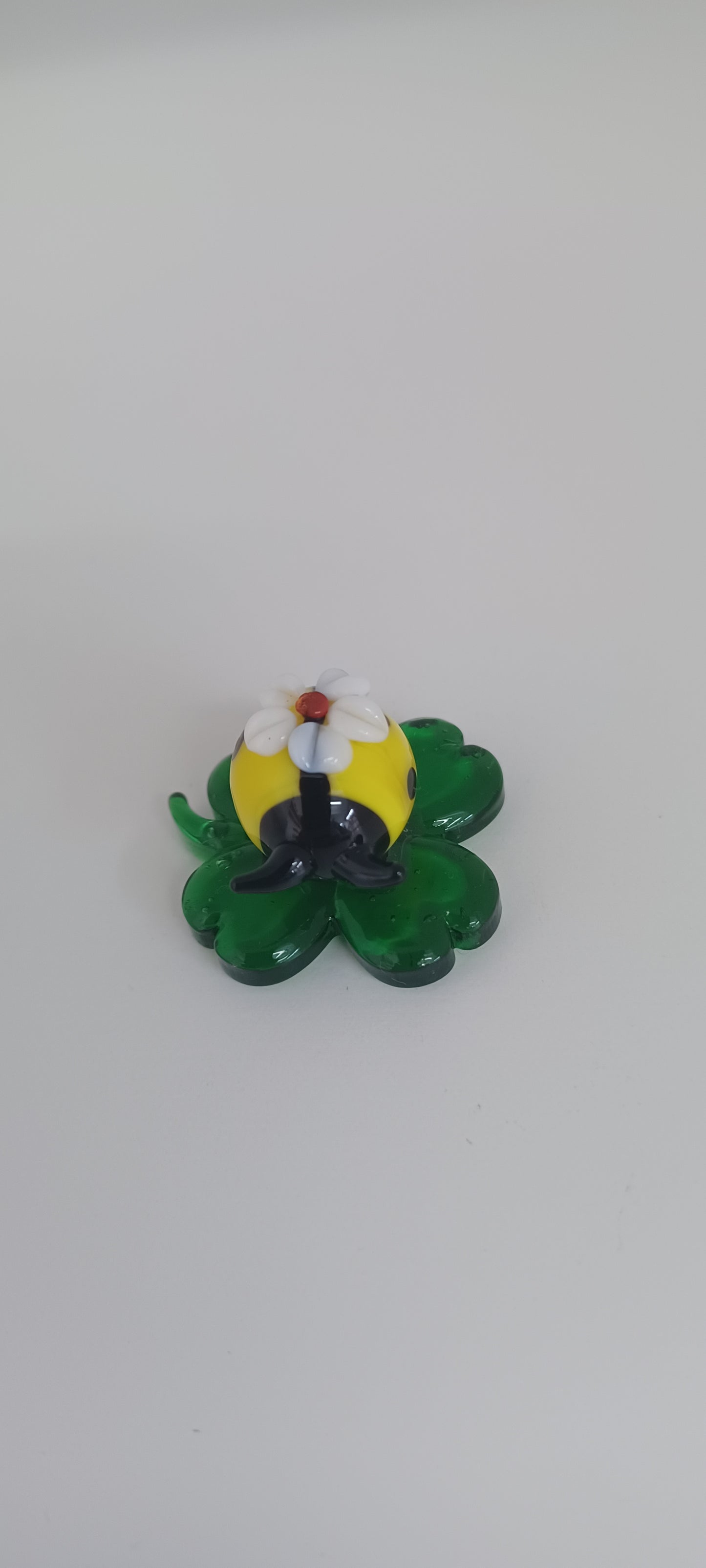 Glass Ladybird