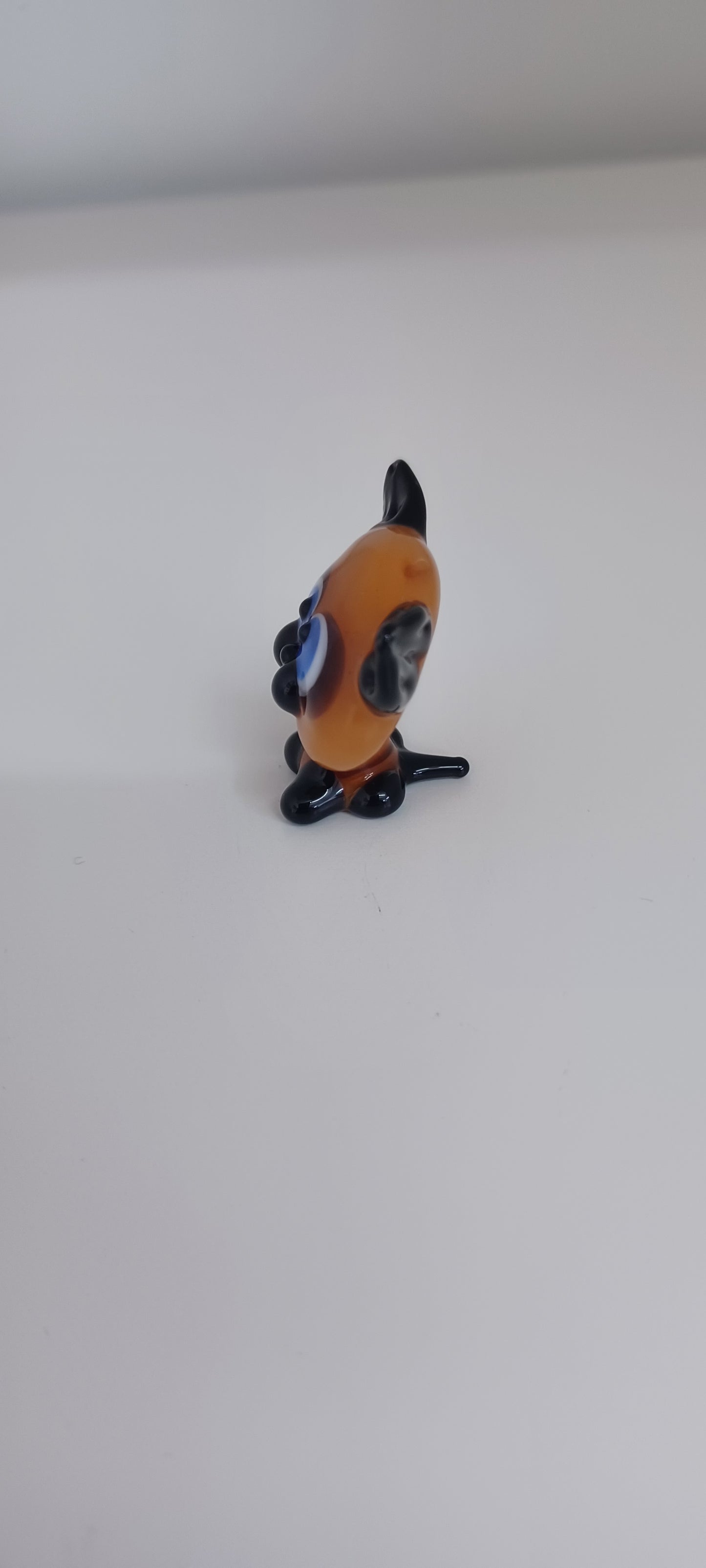 Glass Cat